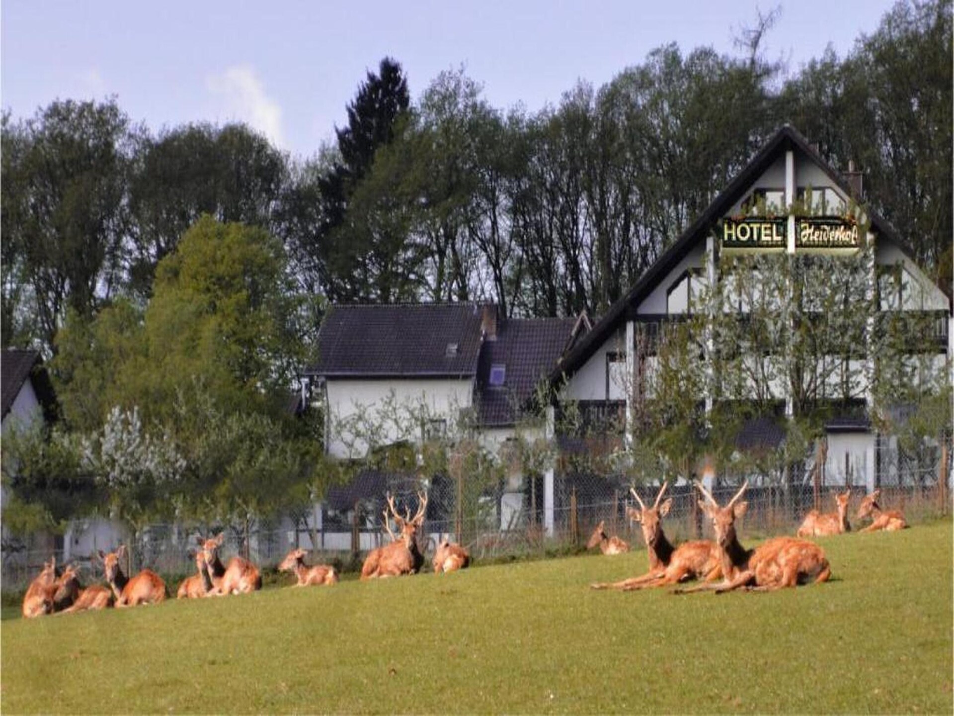 Tweepersoonskamer met balkon in landelijk hotel Heiderhof, Westerwald - foto 31