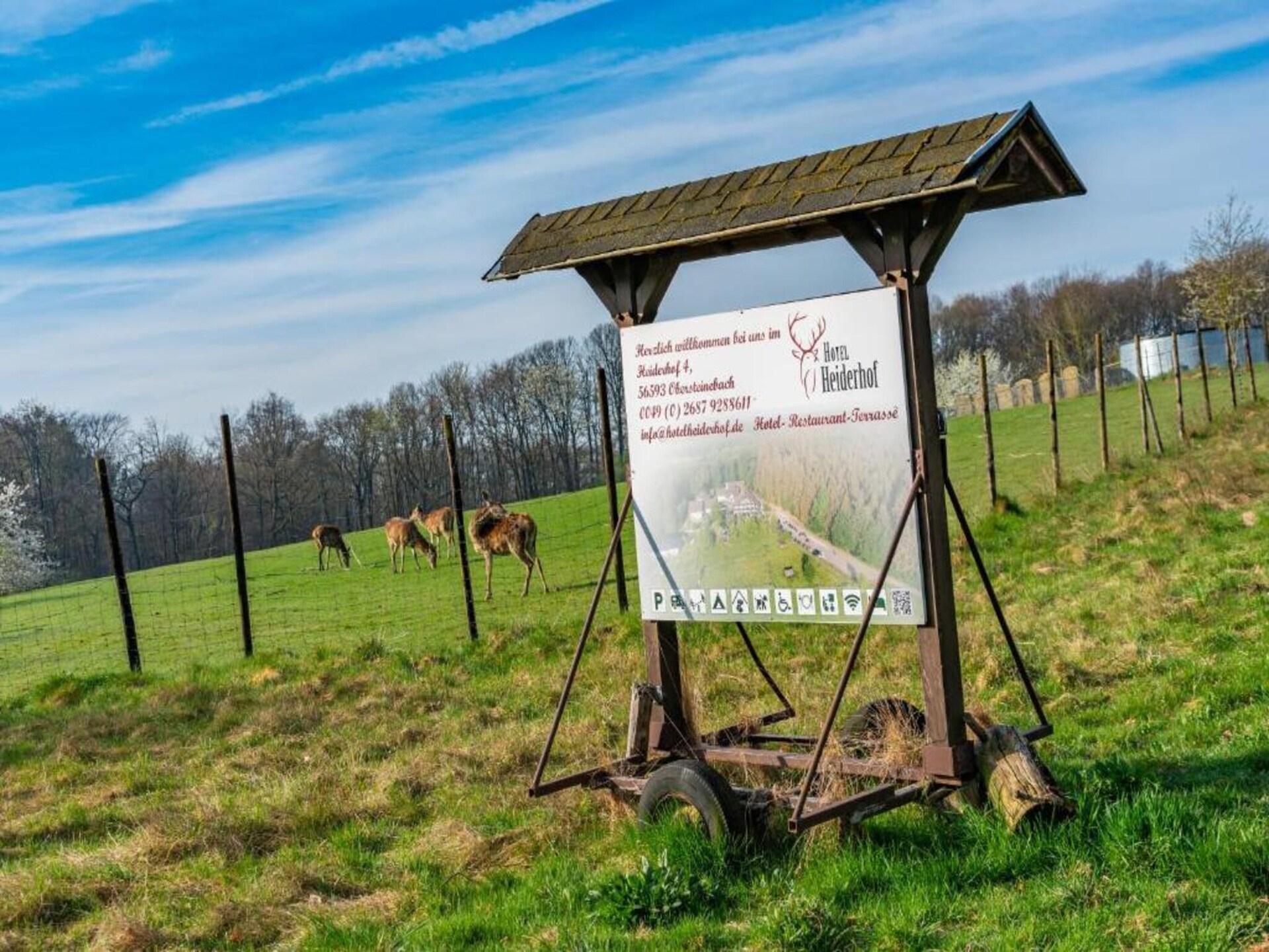 Familiekamer voor 4 in Obersteinebach – hondvriendelijk en landelijk gelegen - foto 29