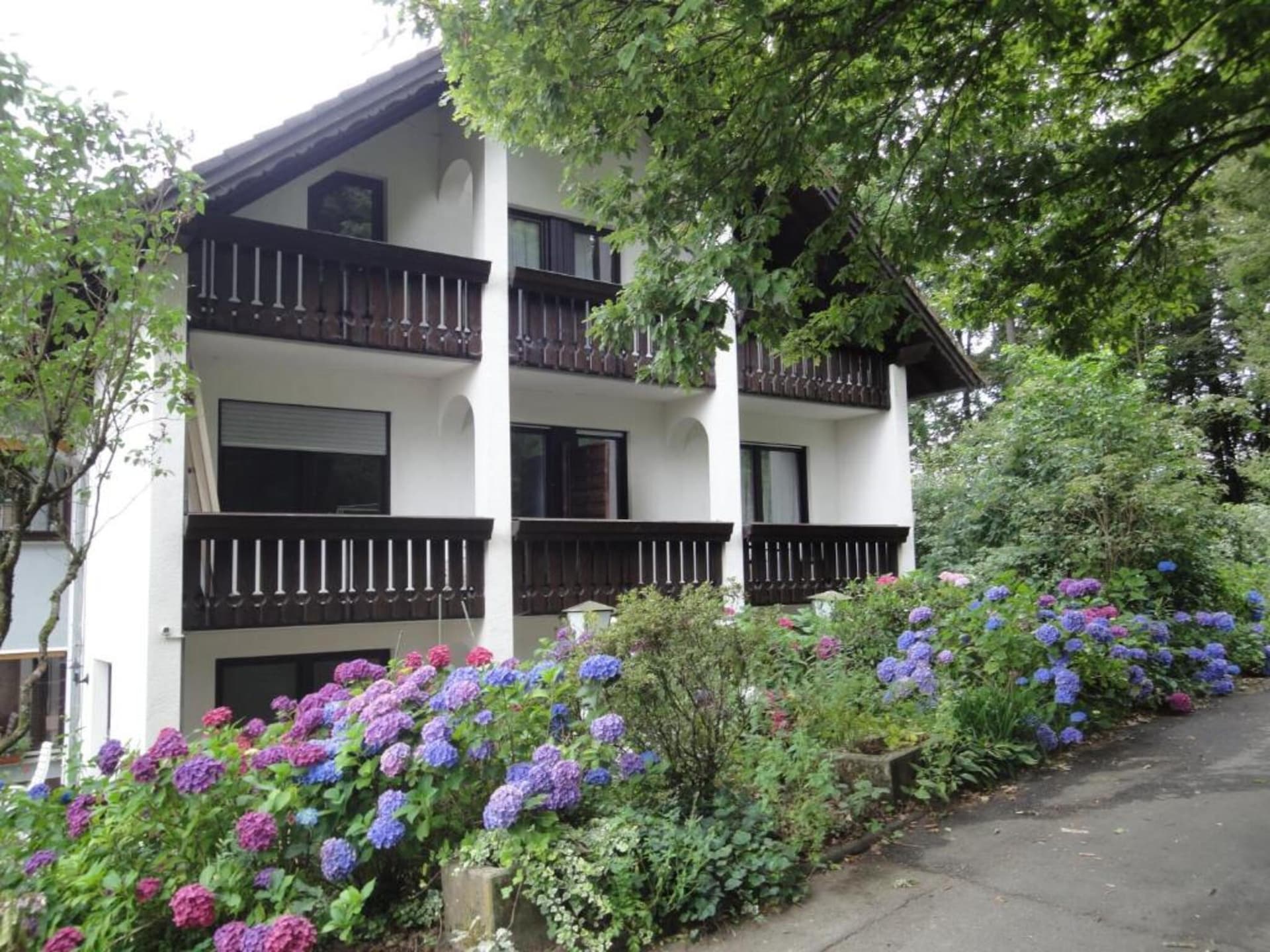 Familiekamer voor 4 in Obersteinebach – hondvriendelijk en landelijk gelegen - foto 35