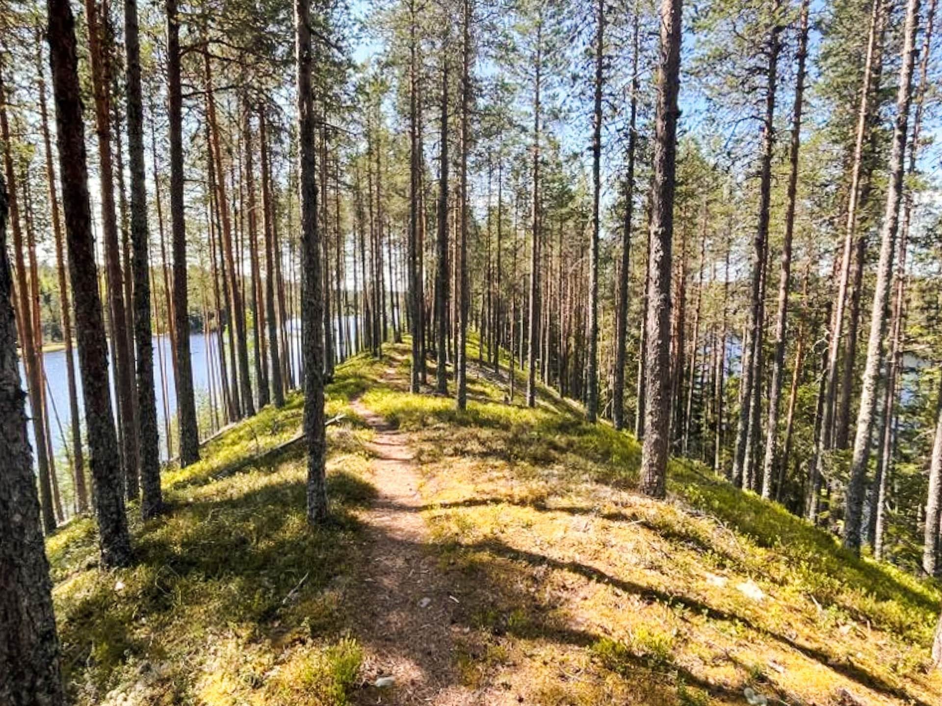 Ruim vakantiehuis in Sälen voor 11 personen met sauna - foto 8