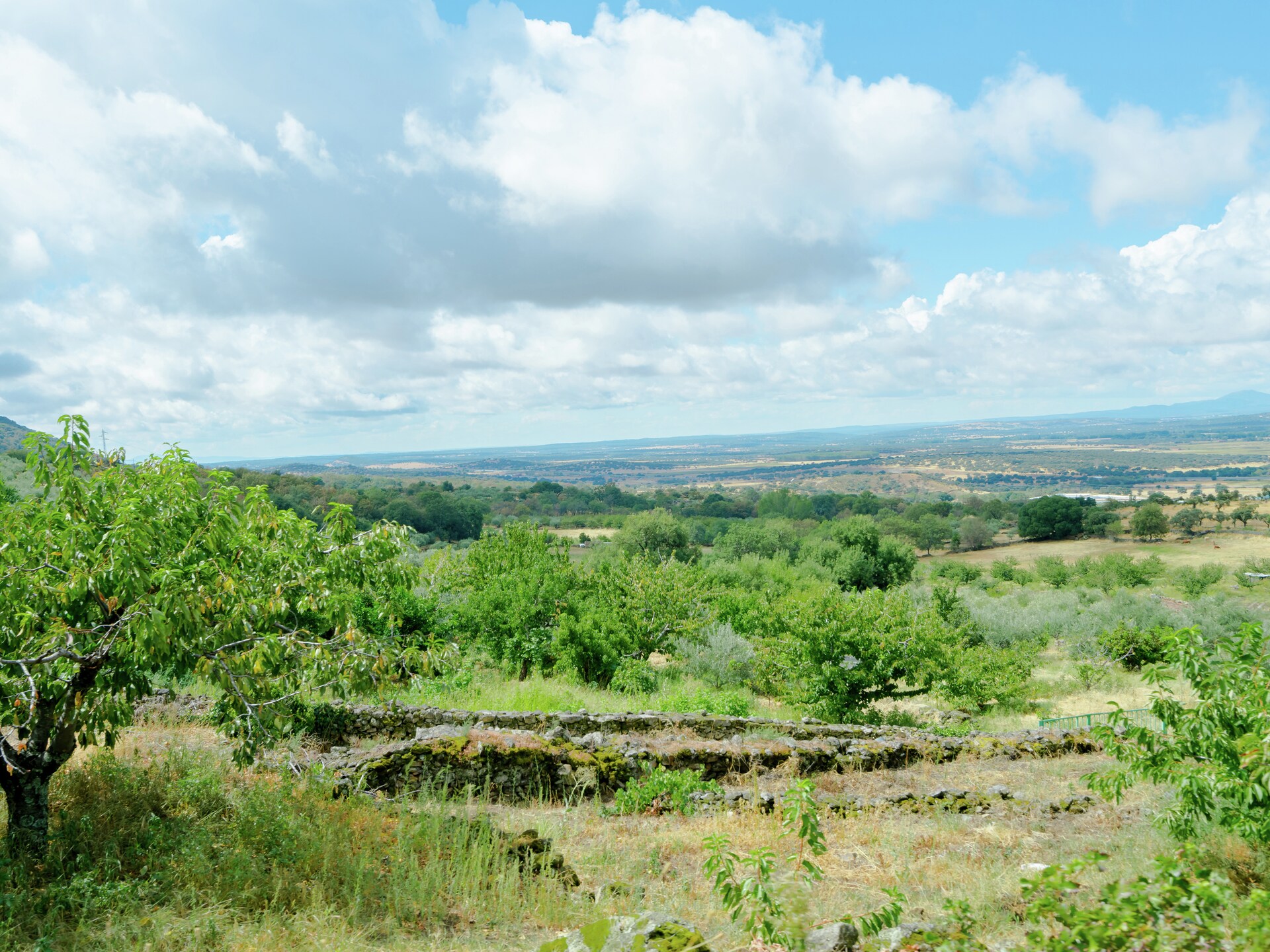 Op 1,0 km van het centrum: ruim vakantiehuis in Casas del Monte - foto 22