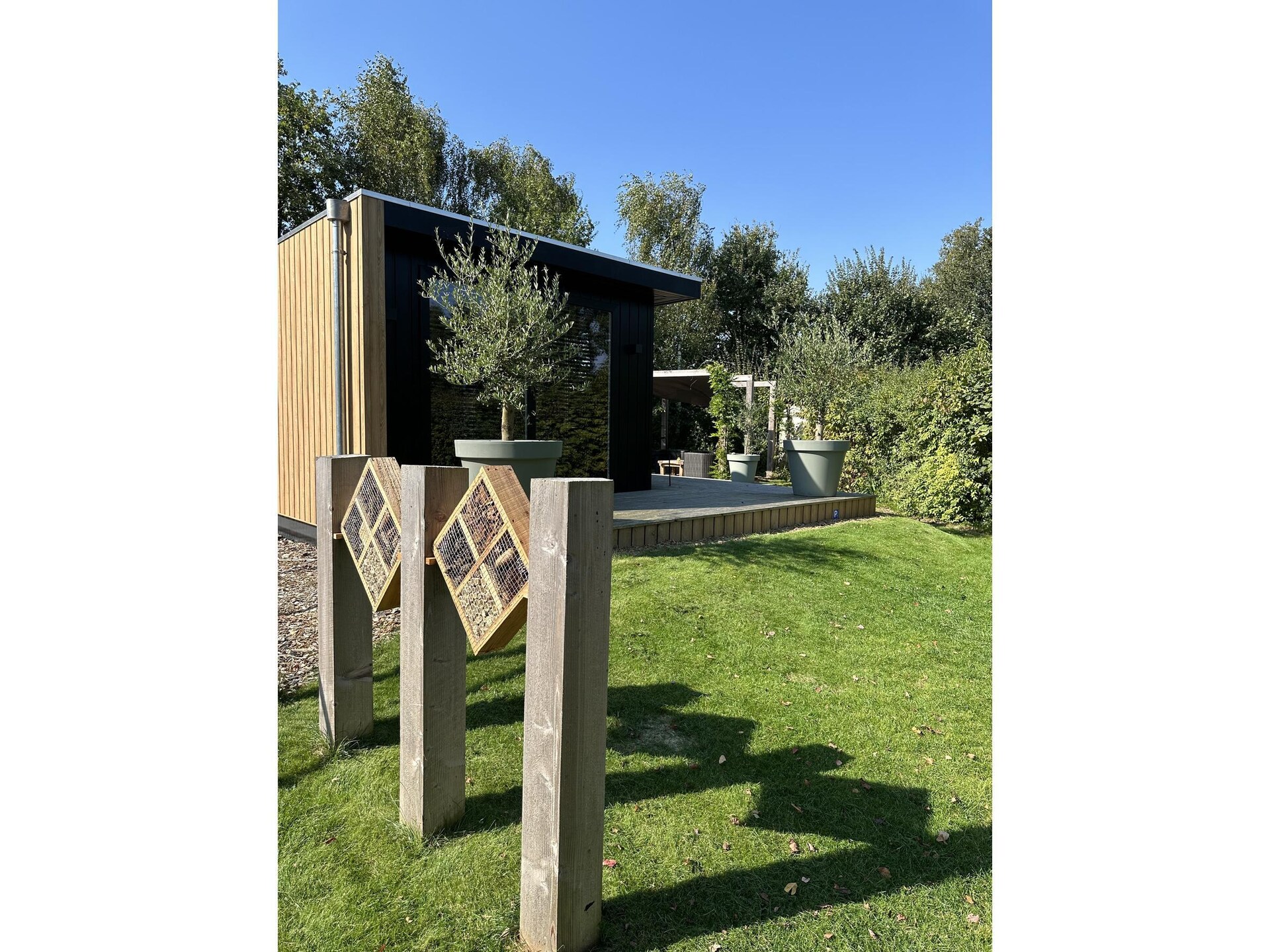 Luxe boschalet voor 2 in het Reestdal bij Balkbrug - foto 15