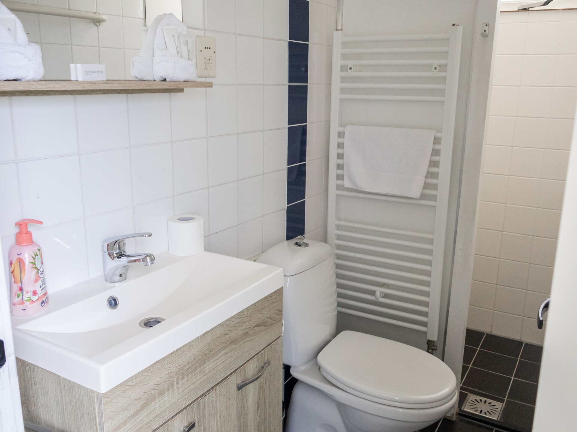 Huis & Meer: knus vakantiehuis op 20m² bij het IJsselmeer in Lemmer - foto 8