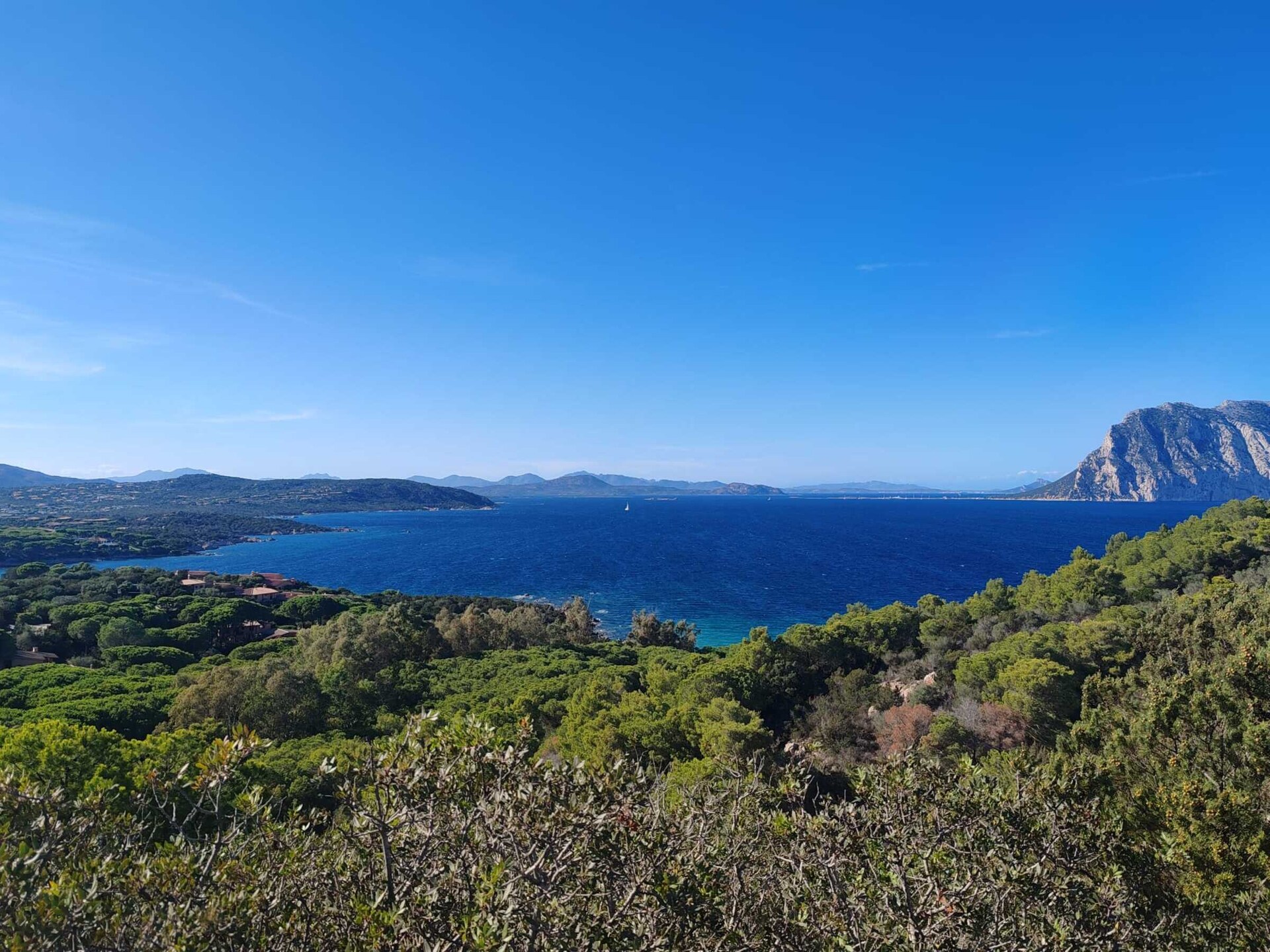 Charmant appartement Il Ginepro in Stintino met veranda - foto 23