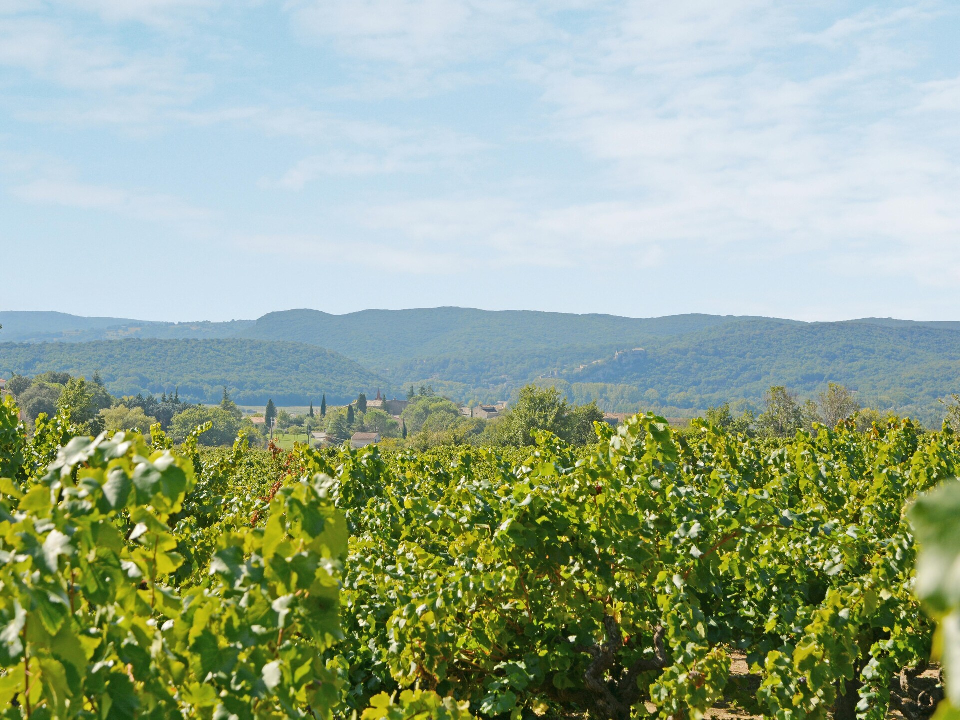 Vrijstaande villa met panoramisch uitzicht en privézwembad in Draguignan - foto 26