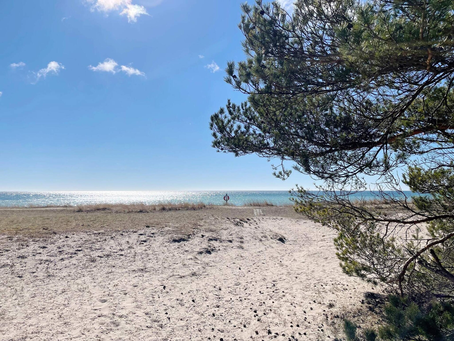 Exclusief vakantiehuis Gotland Tofta: 200m van zee, hottub & golf - foto 7