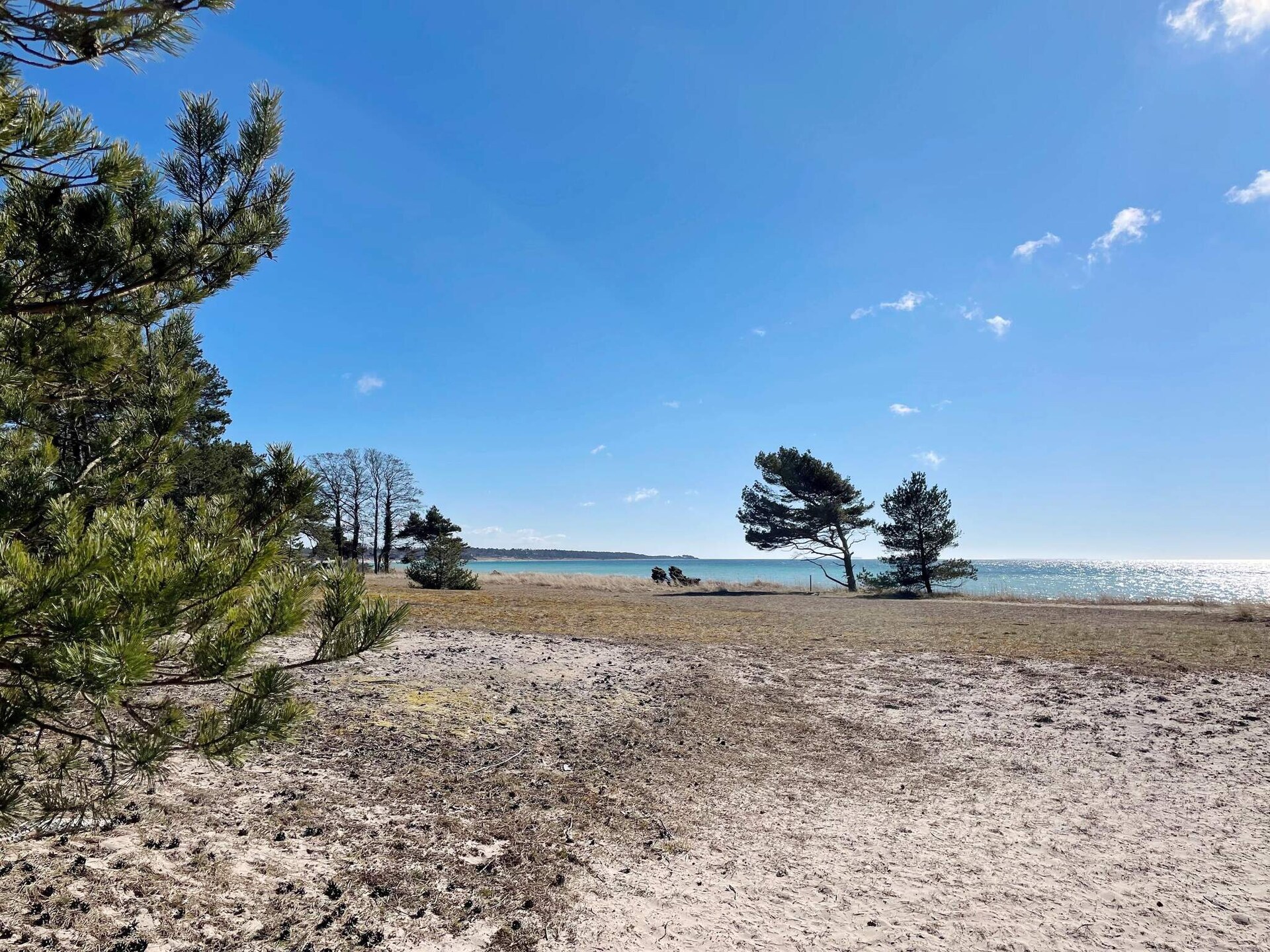 Exclusief vakantiehuis Gotland Tofta: 200m van zee, hottub & golf - foto 8