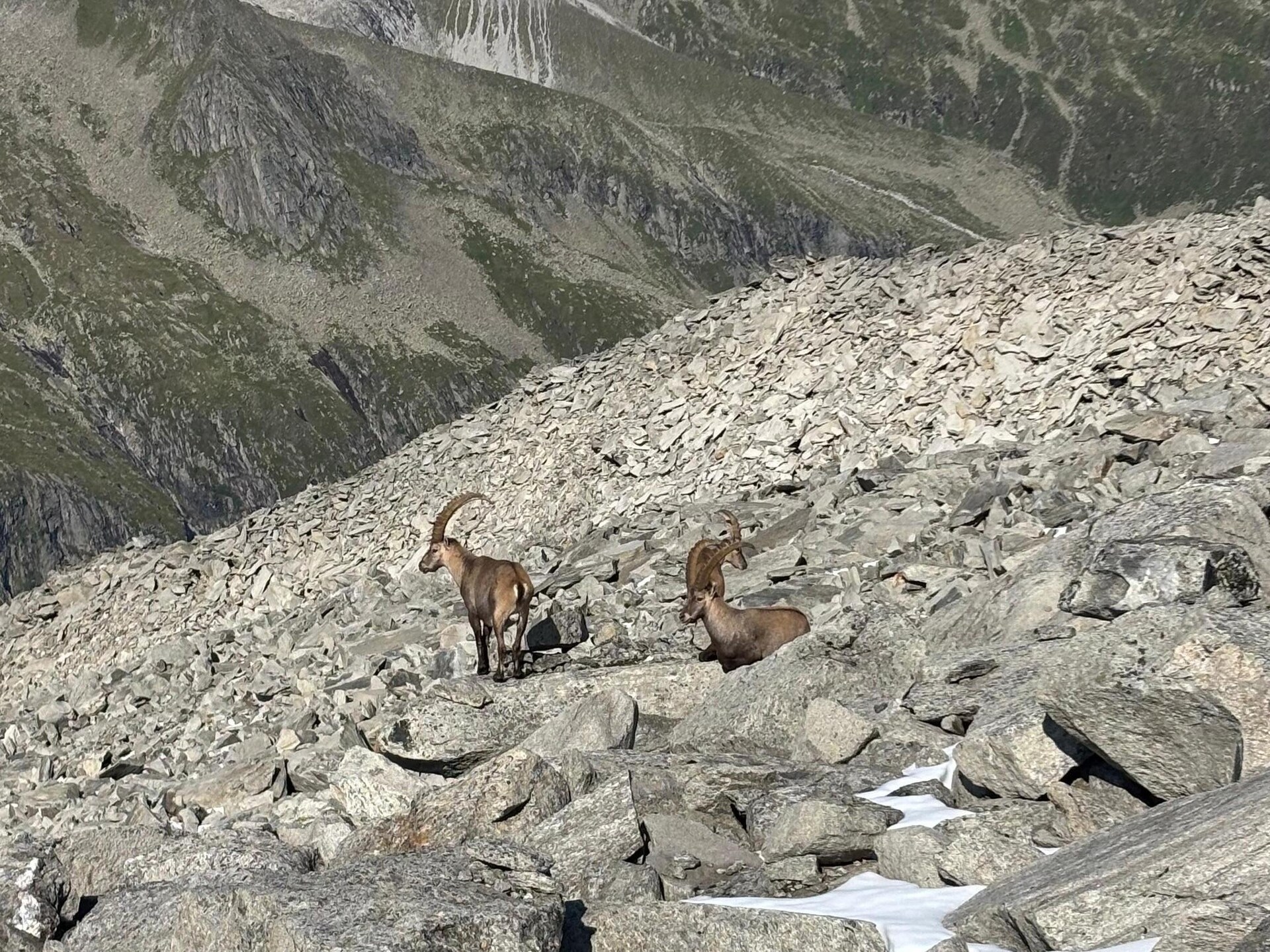 Gernkogelblick: Ruim familieappartement met bergpanorama in Neukirchen - foto 10