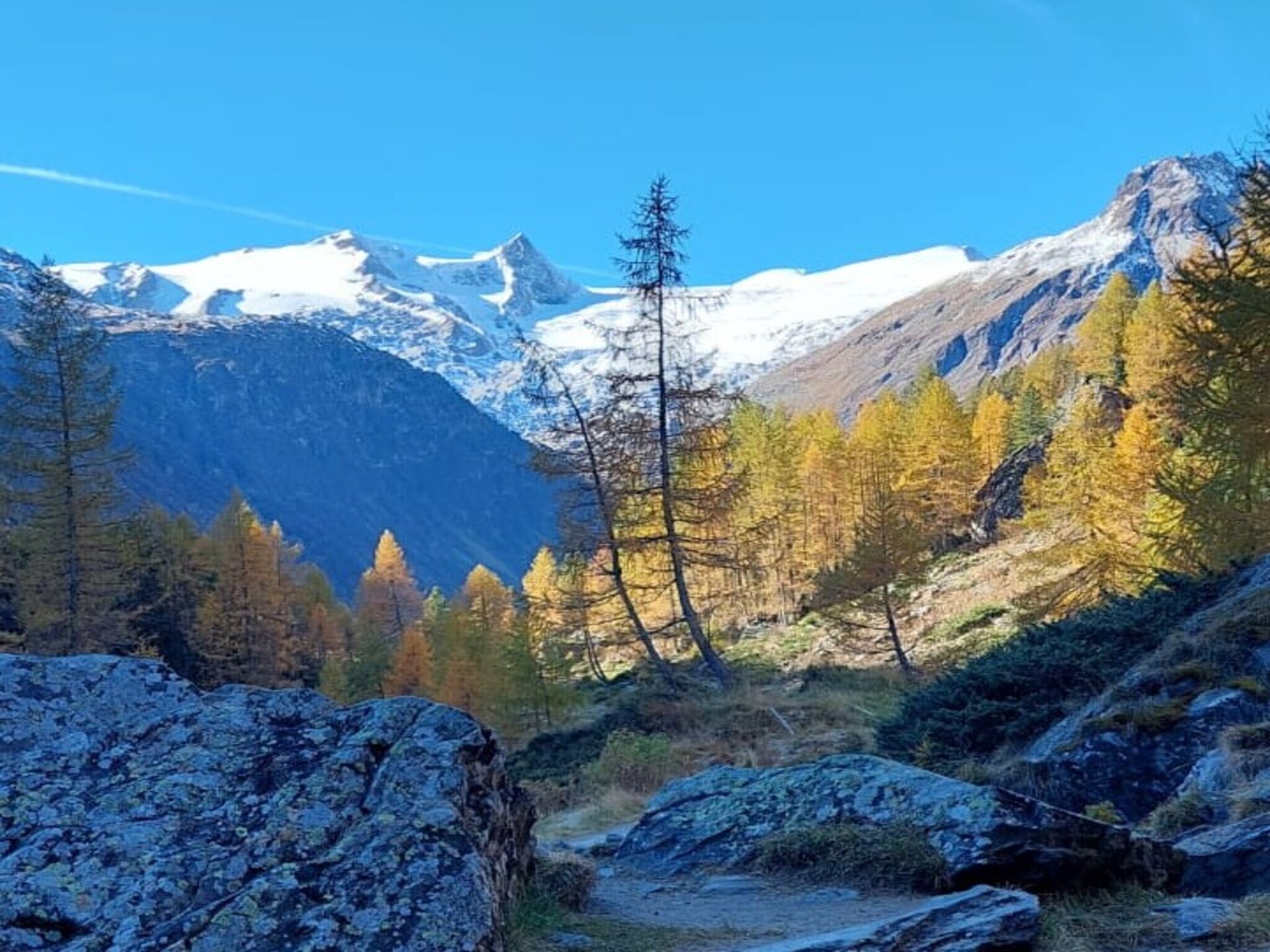 Gernkogelblick: Ruim familieappartement met bergpanorama in Neukirchen - foto 9