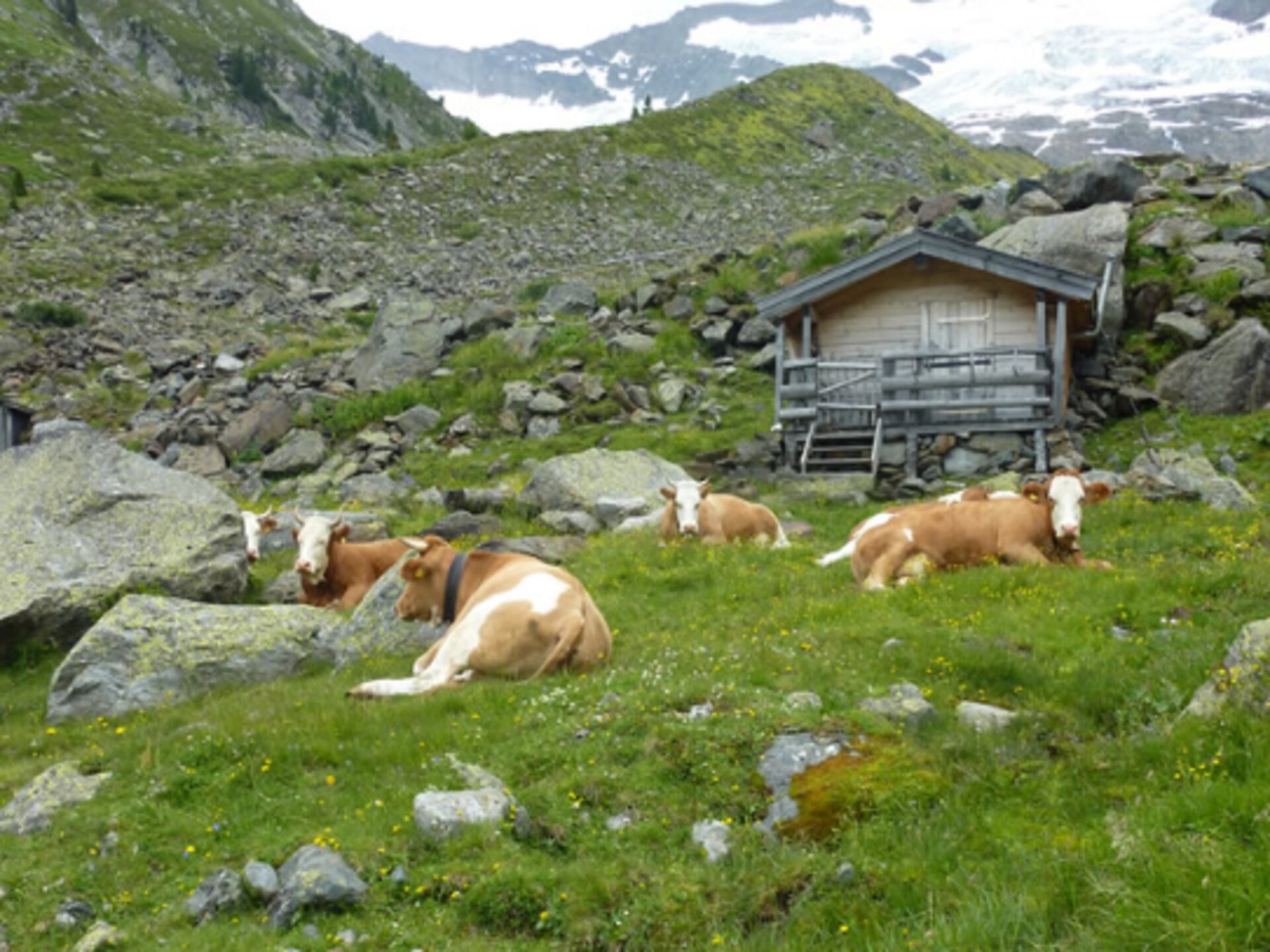 Gernkogelblick: Ruim familieappartement met bergpanorama in Neukirchen - foto 20