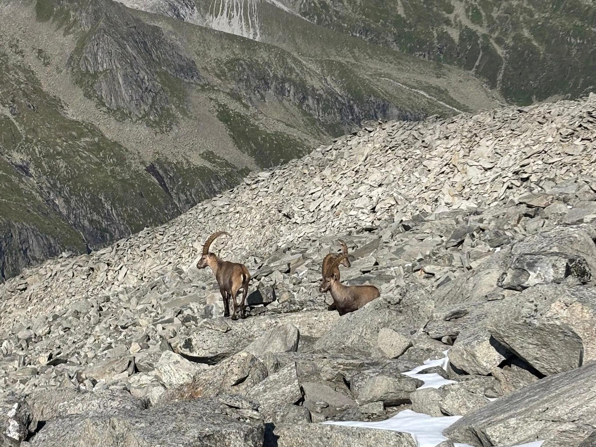 Mitterkopfblick: sfeervol appartement met panoramisch bergzicht in Salzburgerland - foto 10