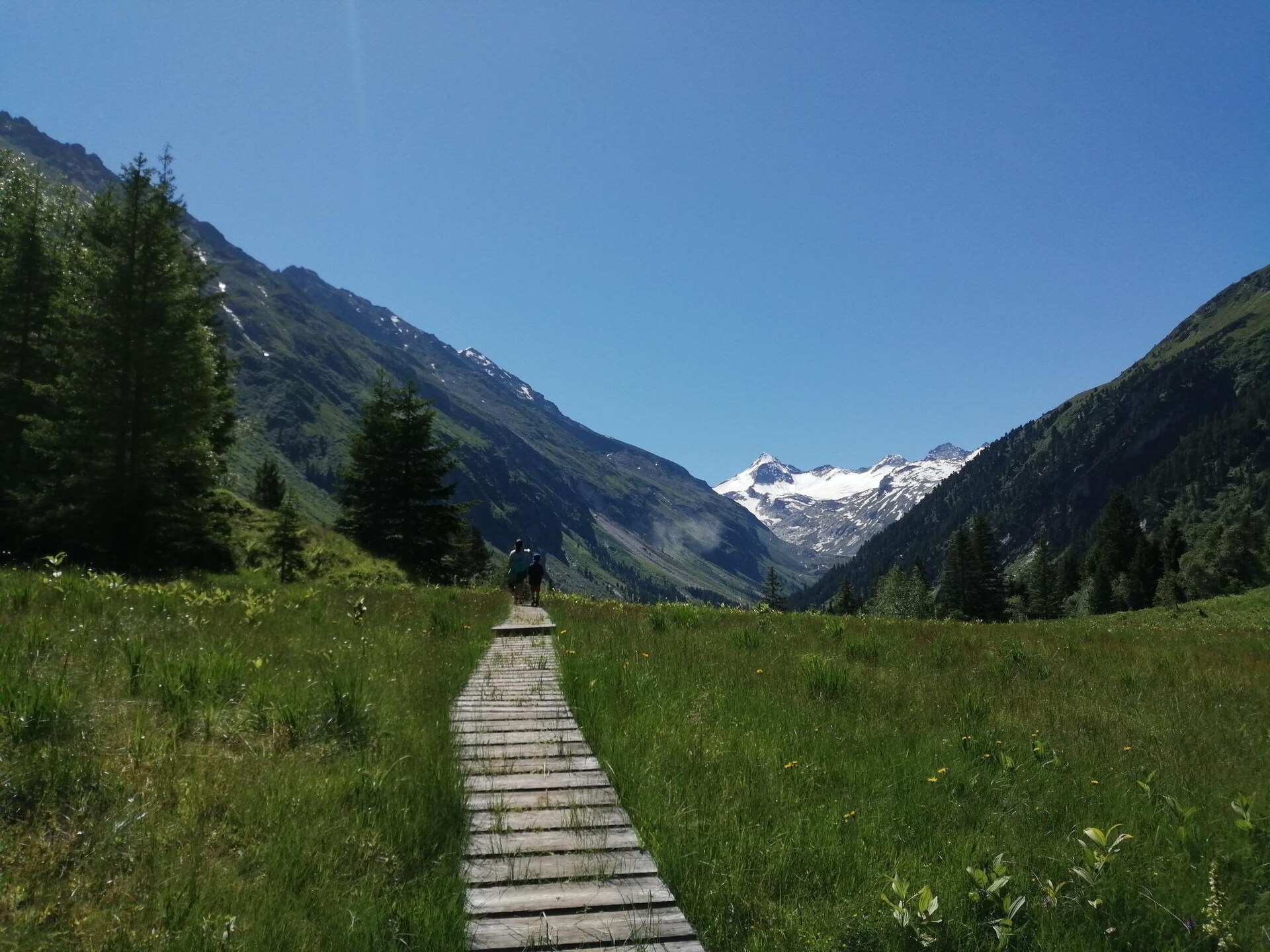 Mitterkopfblick: sfeervol appartement met panoramisch bergzicht in Salzburgerland - foto 14