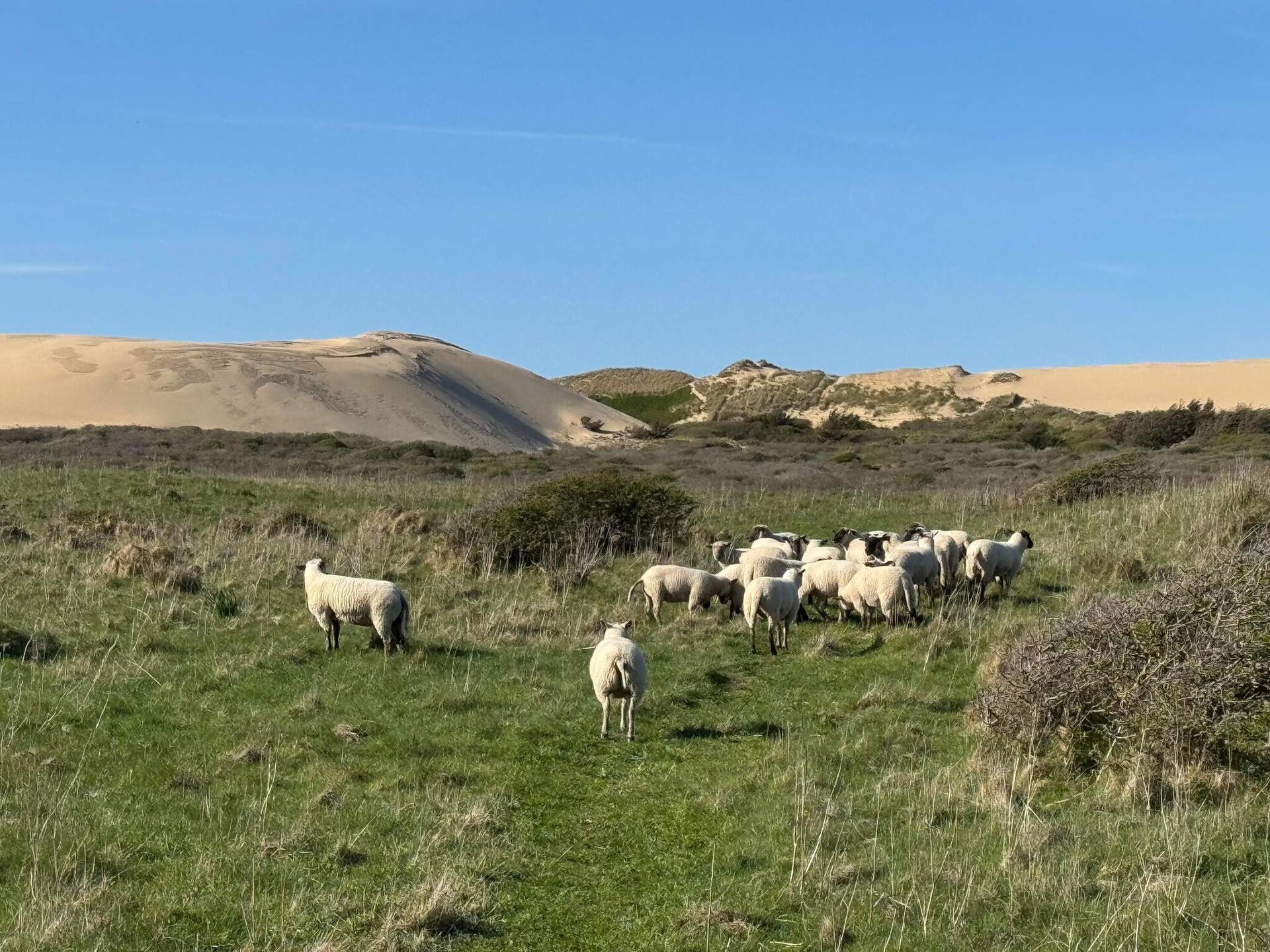 Vrijstaand vakantiehuis op 80 meter van de zee in Løkken - foto 17
