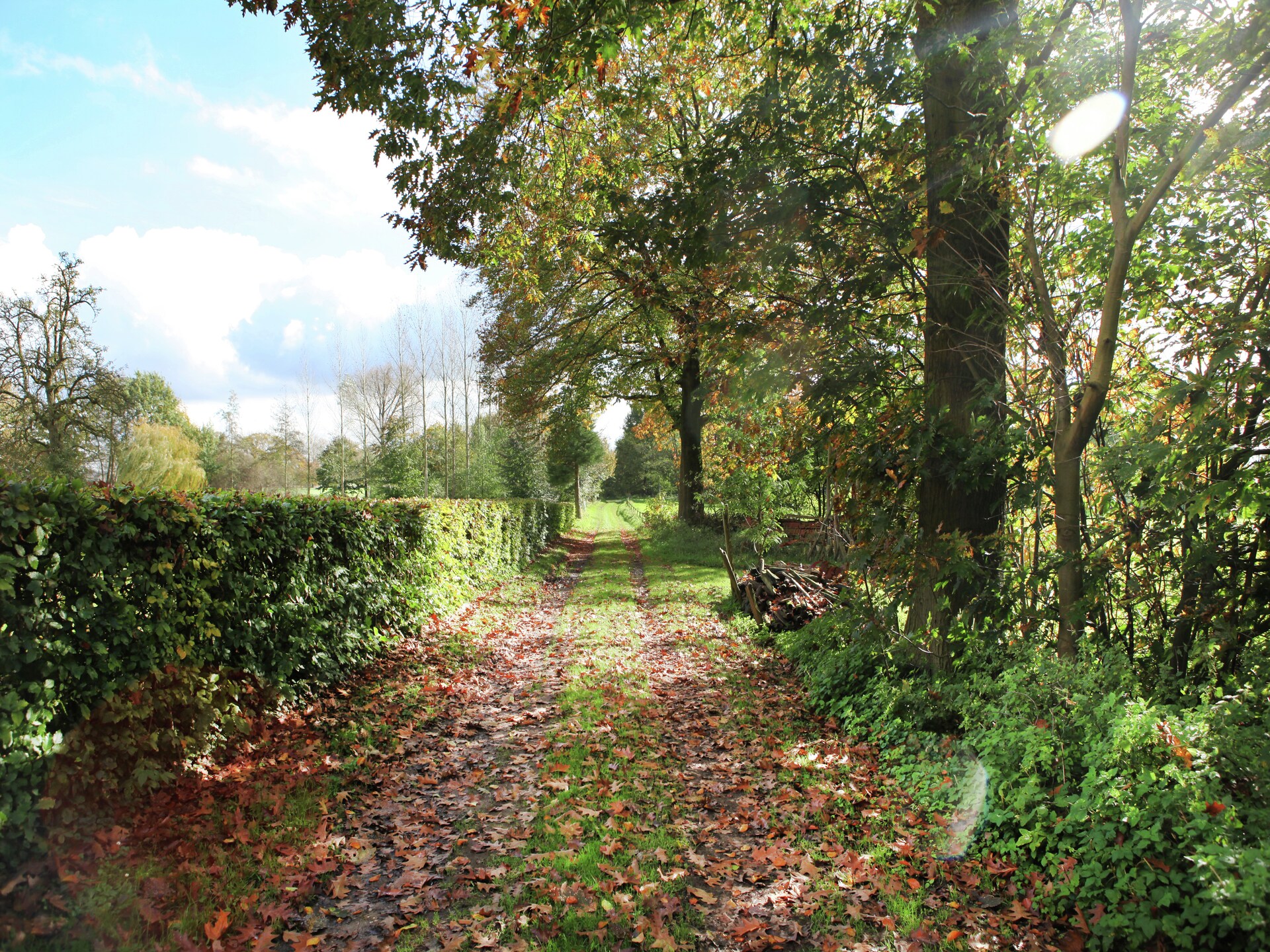 Sfeervol koetsiershuis op landgoed Klein Paarlo in bosrijk Limburg - foto 34