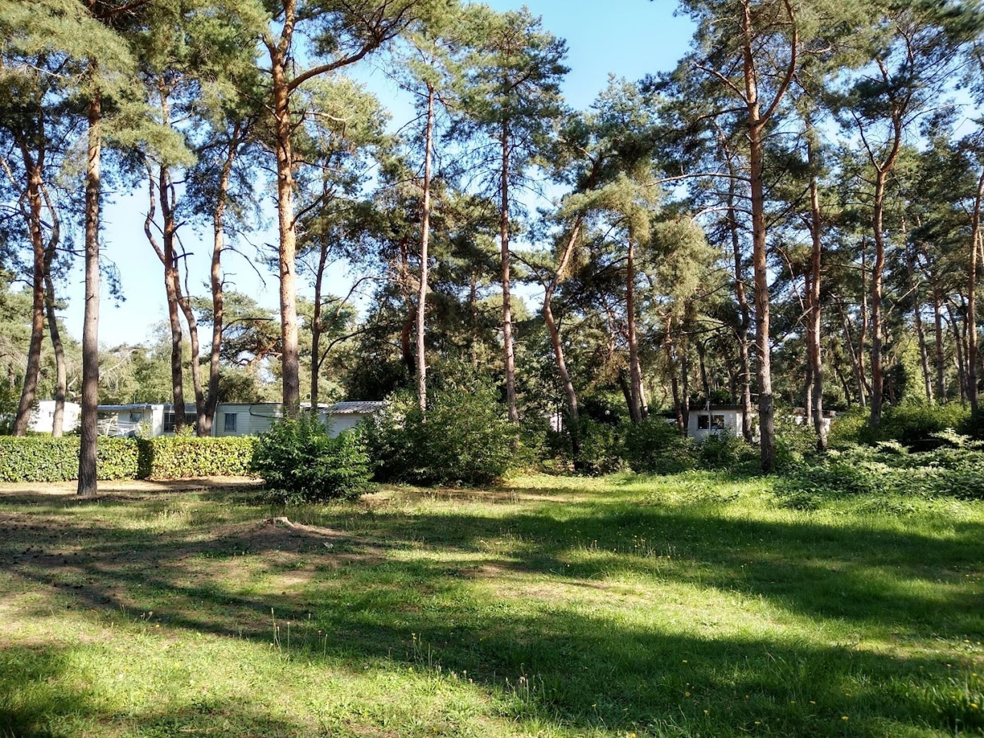 6-persoons chalet met airco op Recreatiedomein Keiheuvel in Balen - foto 20