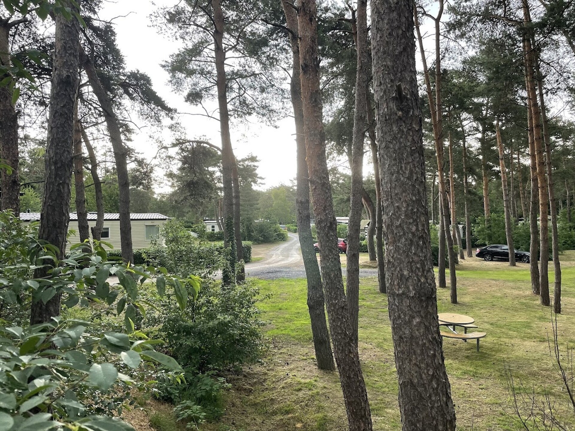 6-persoons chalet met airco op Recreatiedomein Keiheuvel in Balen - foto 21