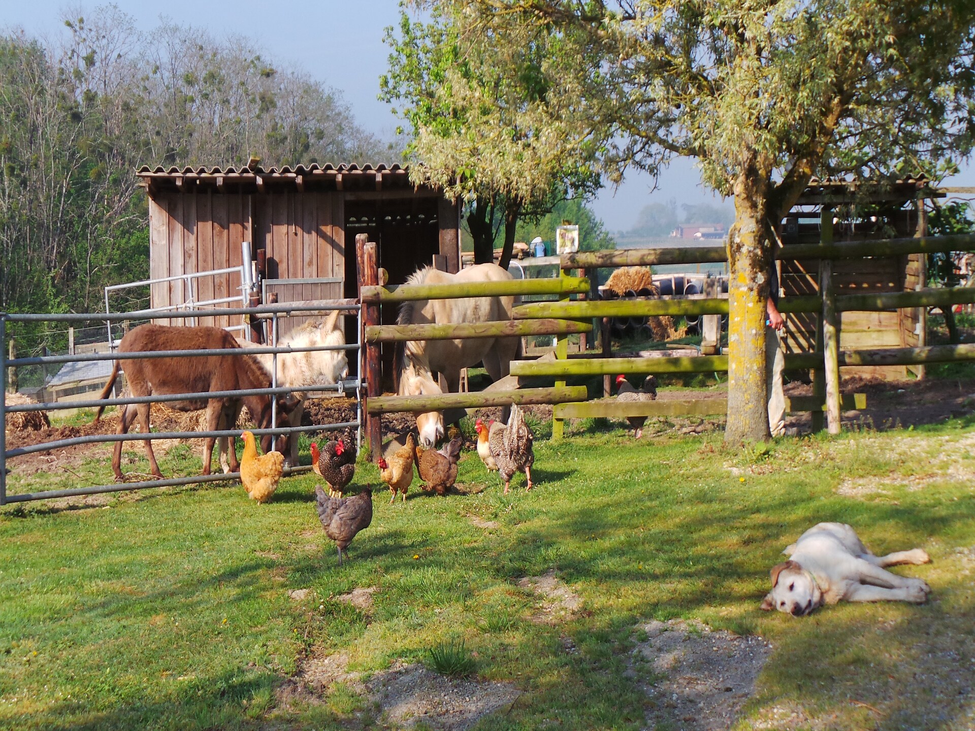 Landelijk vakantiehuis met zwembad en bubbelbad aan de Garonne-vallei - foto 25