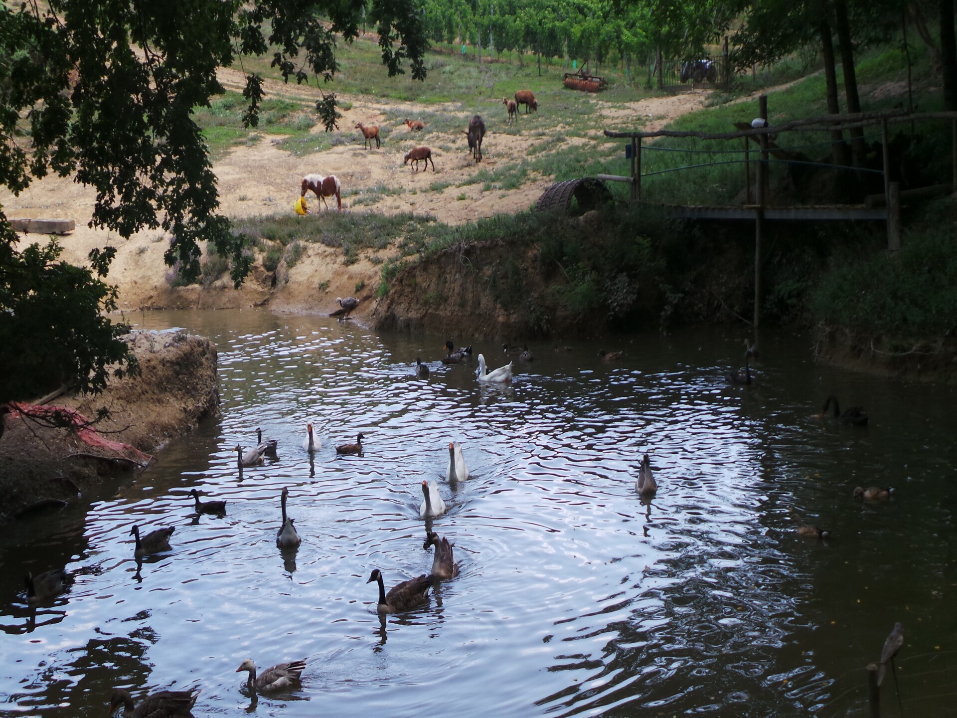Landelijk vakantiehuis met zwembad en bubbelbad aan de Garonne-vallei - foto 52