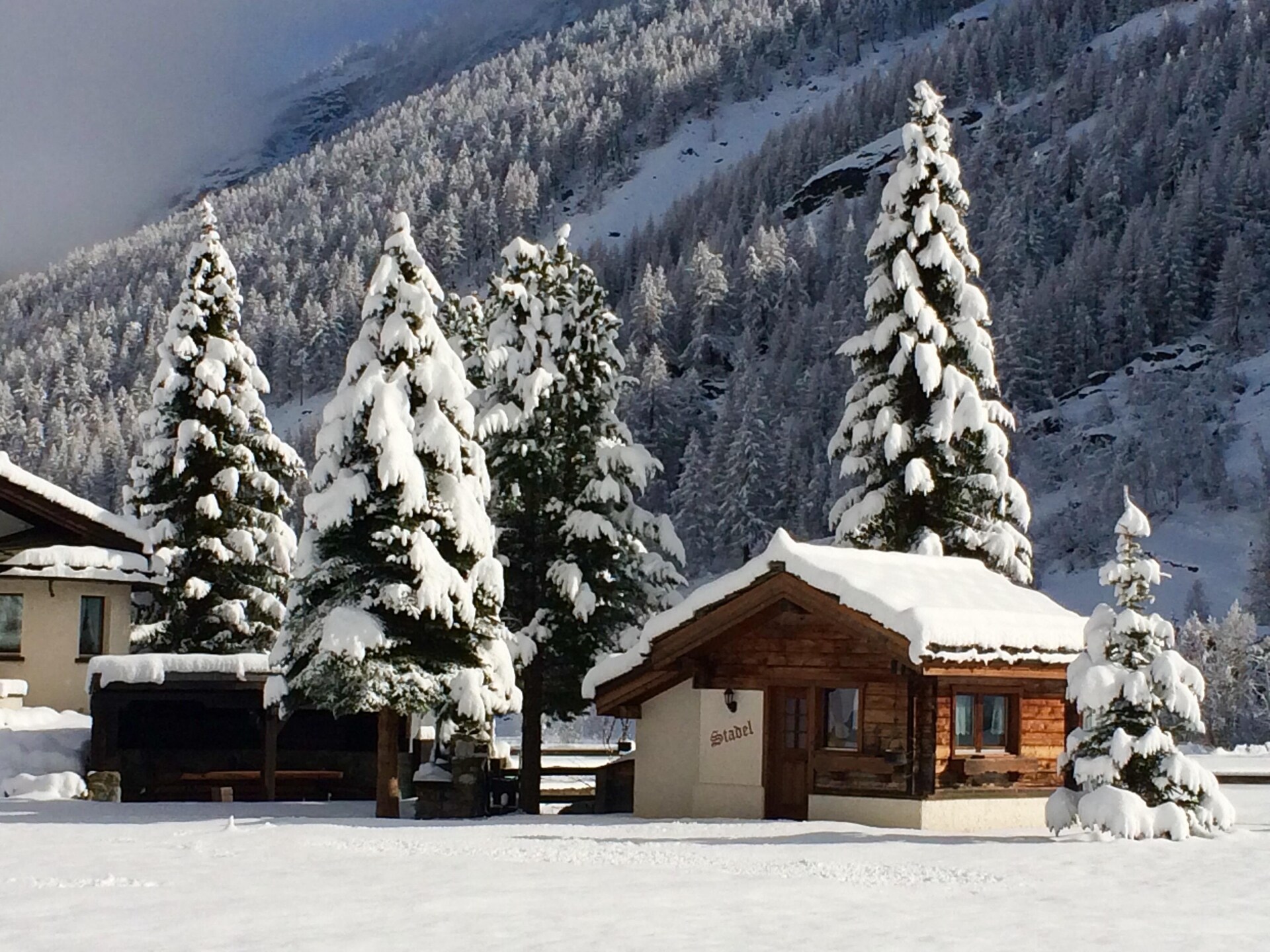 Knusse berghut voor 2 met hond in Saas Grund, Wallis - foto 27