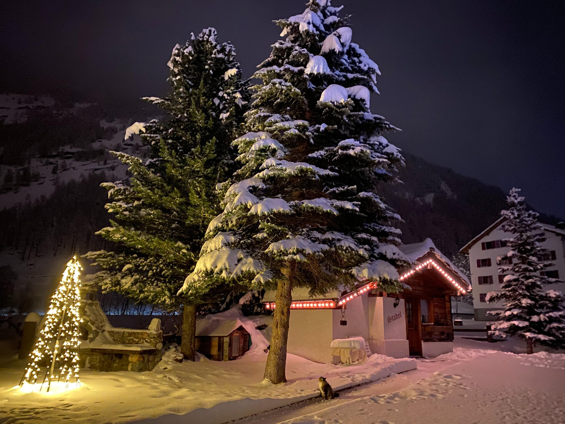 Knusse berghut voor 2 met hond in Saas Grund, Wallis - foto 14