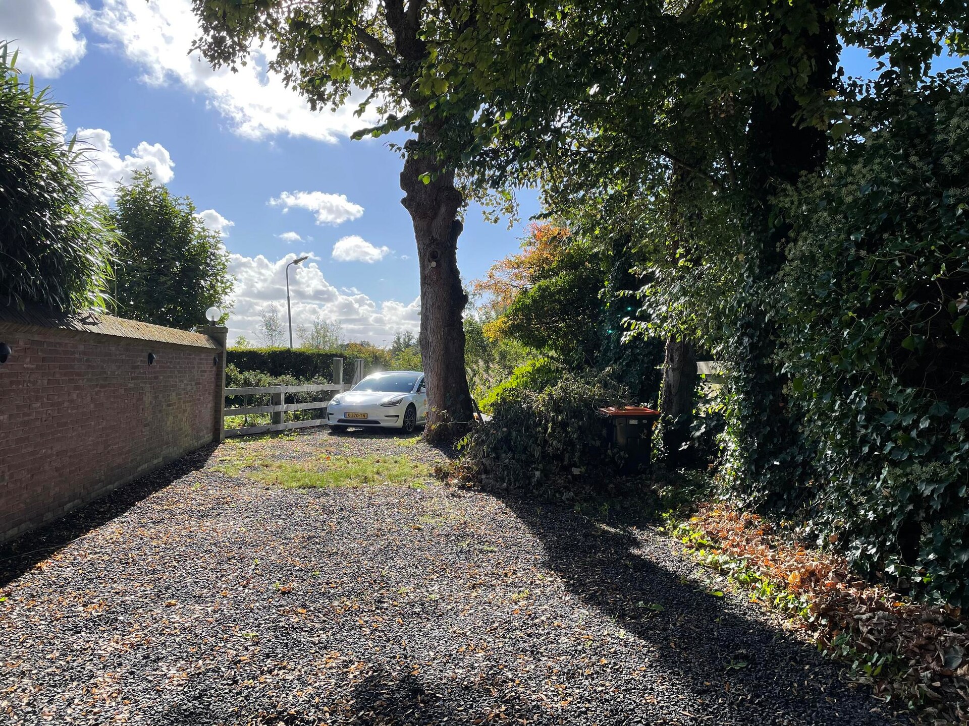 Bergense Duyn: vrijstaand vakantiehuis in rustige groene omgeving bij Bergen - foto 18