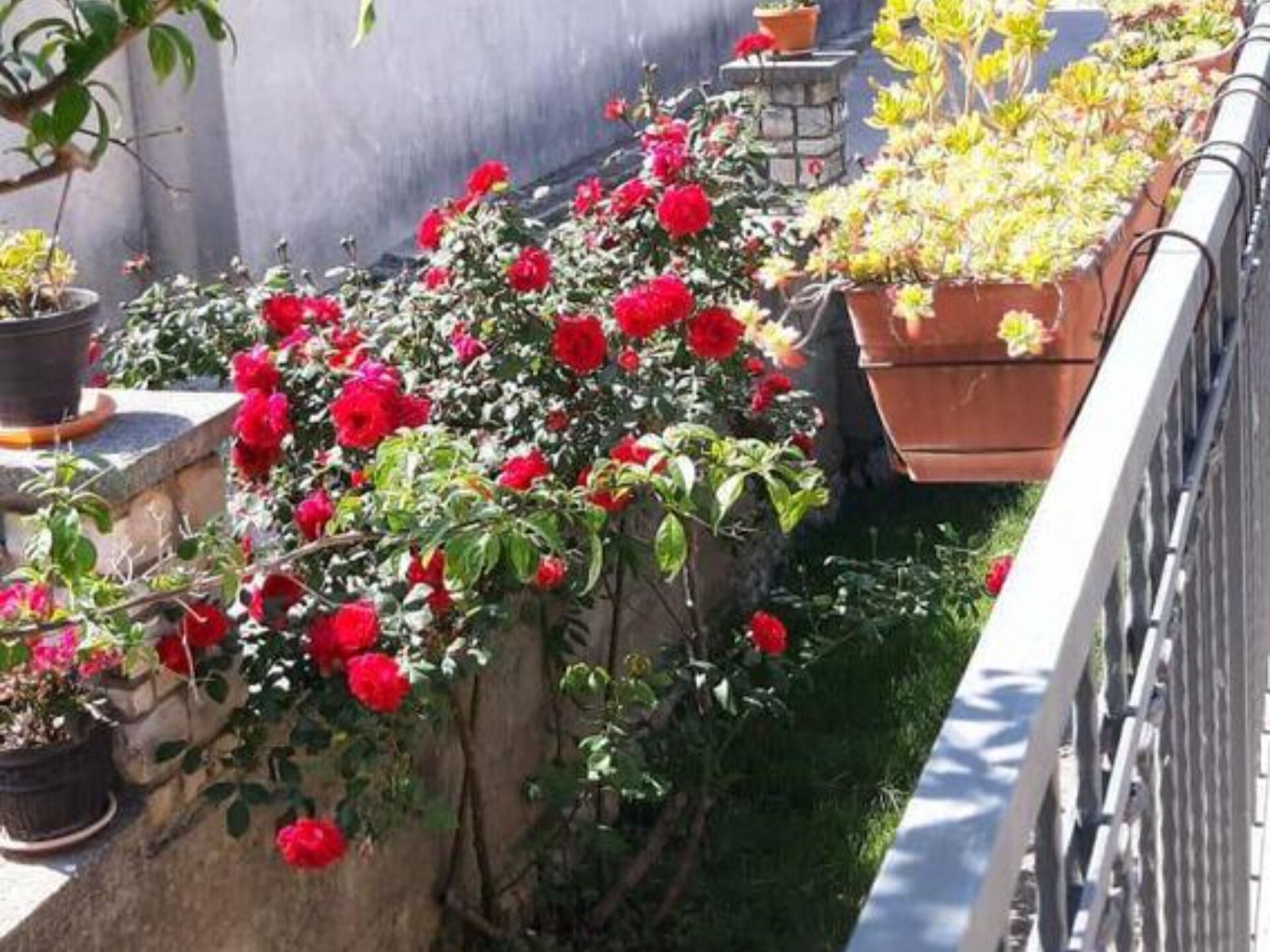 Casa Dolce Mare - ThreeBedroom Holiday Home with Terrace - foto 15