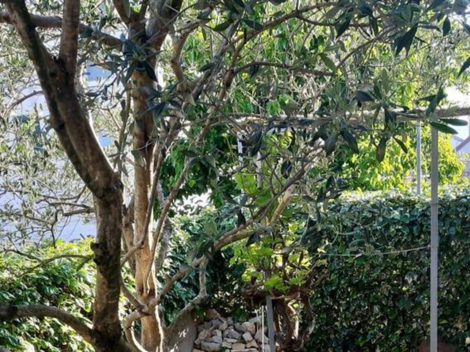 Casa Dolce Mare - ThreeBedroom Holiday Home with Terrace - foto 18