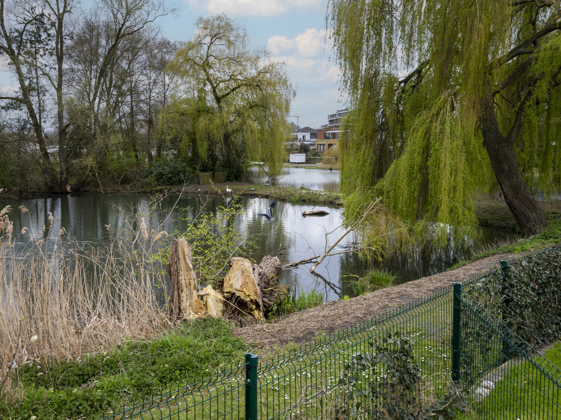 La Rive du Lac - foto 2