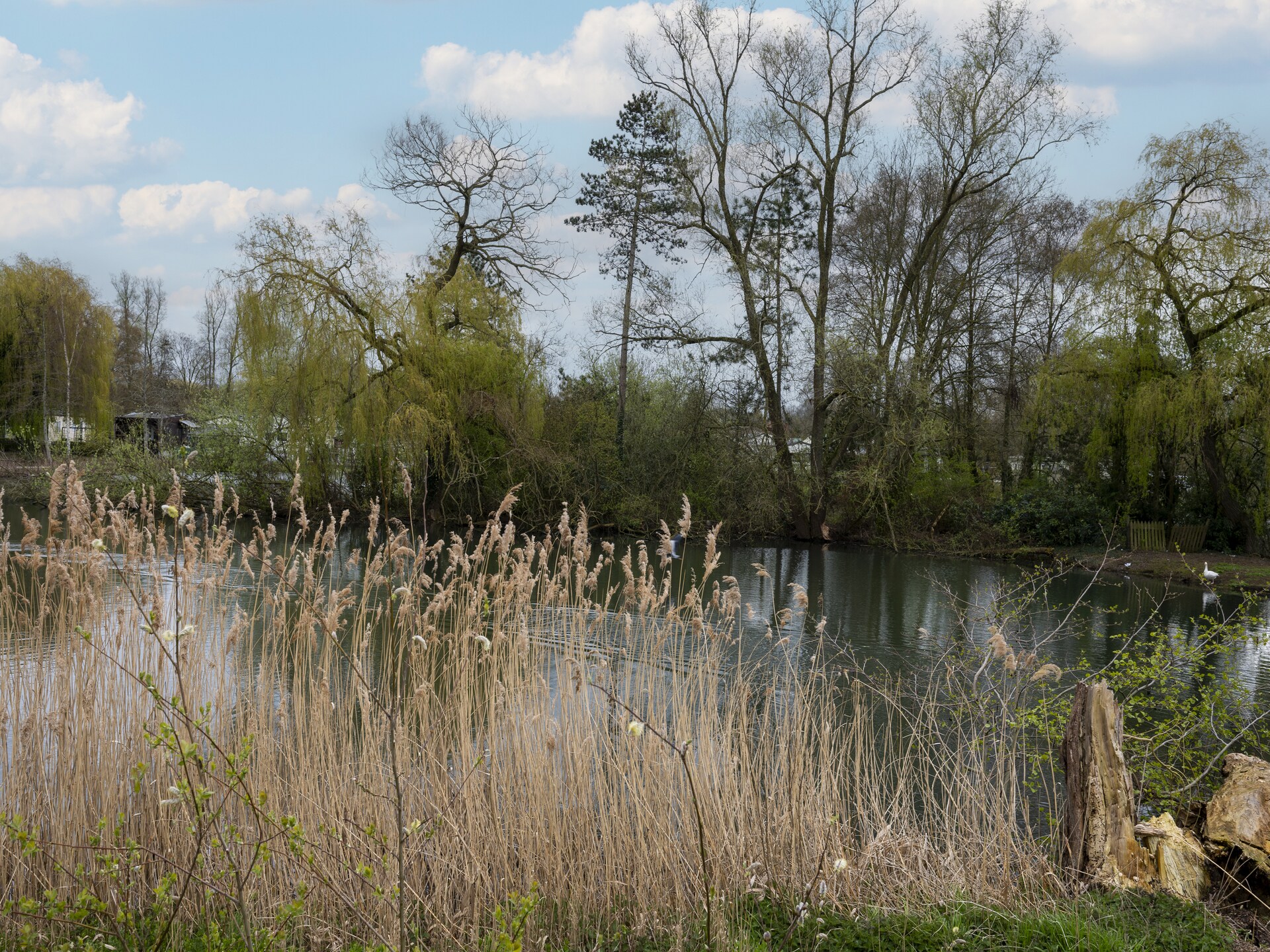 La Rive du Lac - foto 16