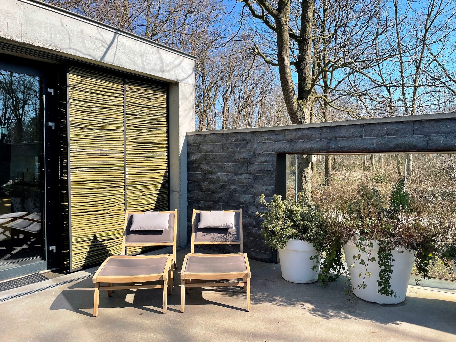 Betonnen Boshuis: wellnessvilla met privé spa op landgoed Bergvliet - foto 24