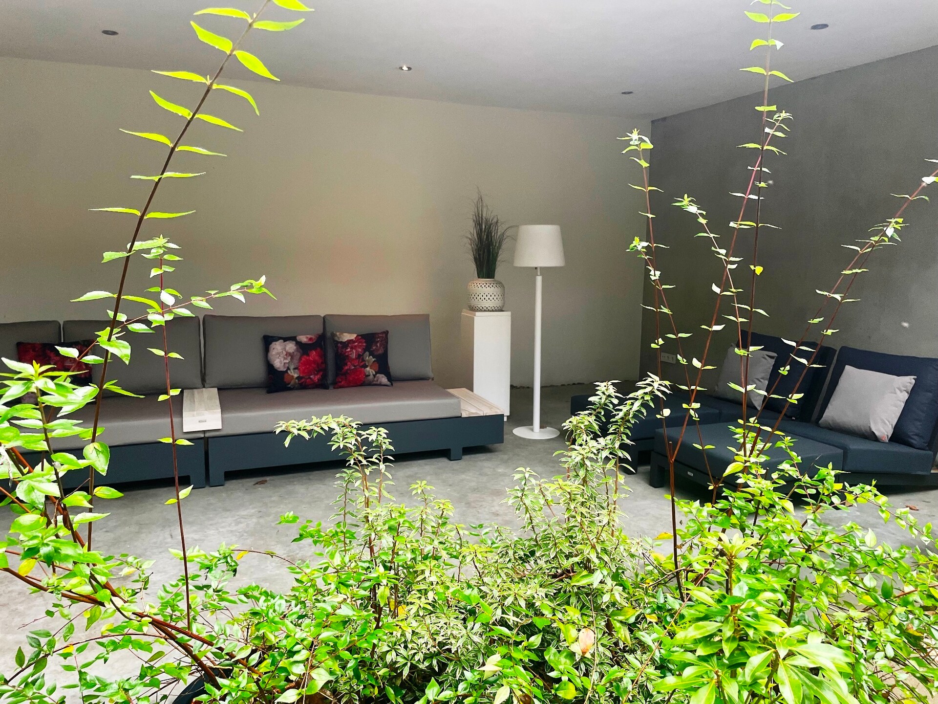 Betonnen Boshuis: wellnessvilla met privé spa op landgoed Bergvliet - foto 21
