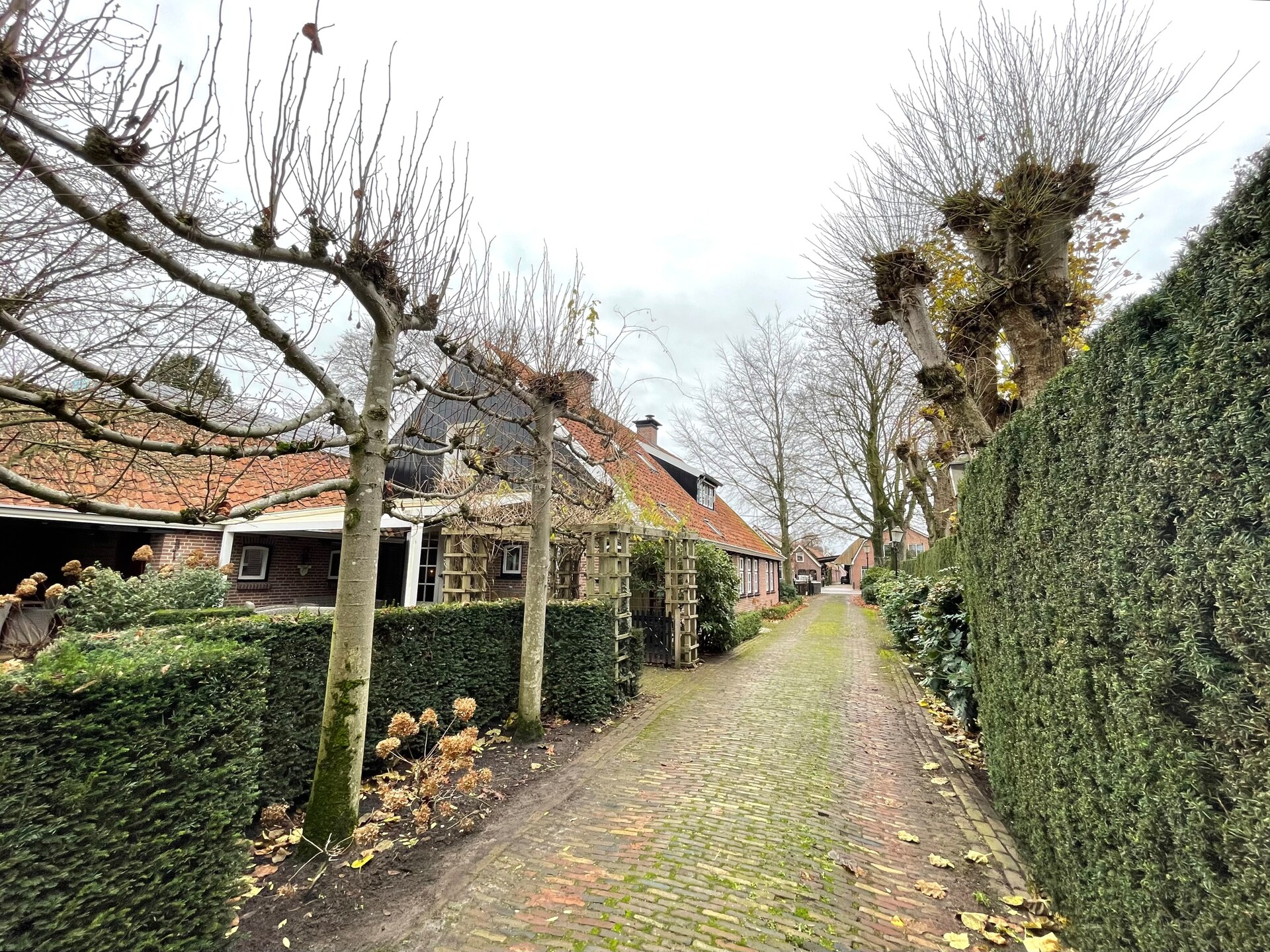 Authentieke boerderij de Binnenhof: luxe wellness en landelijke rust in Twente - foto 14