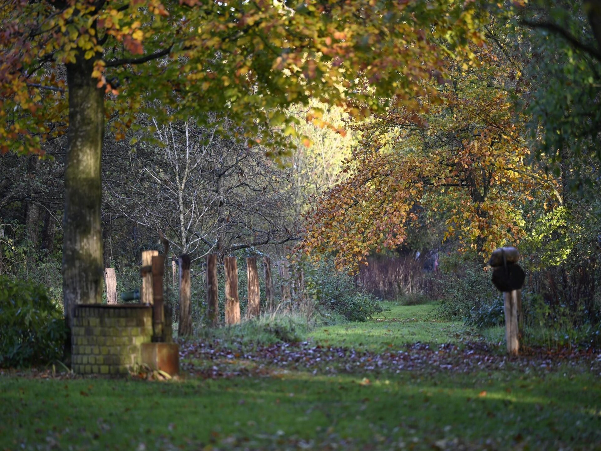 Authentieke boerderij de Binnenhof: luxe wellness en landelijke rust in Twente - foto 50