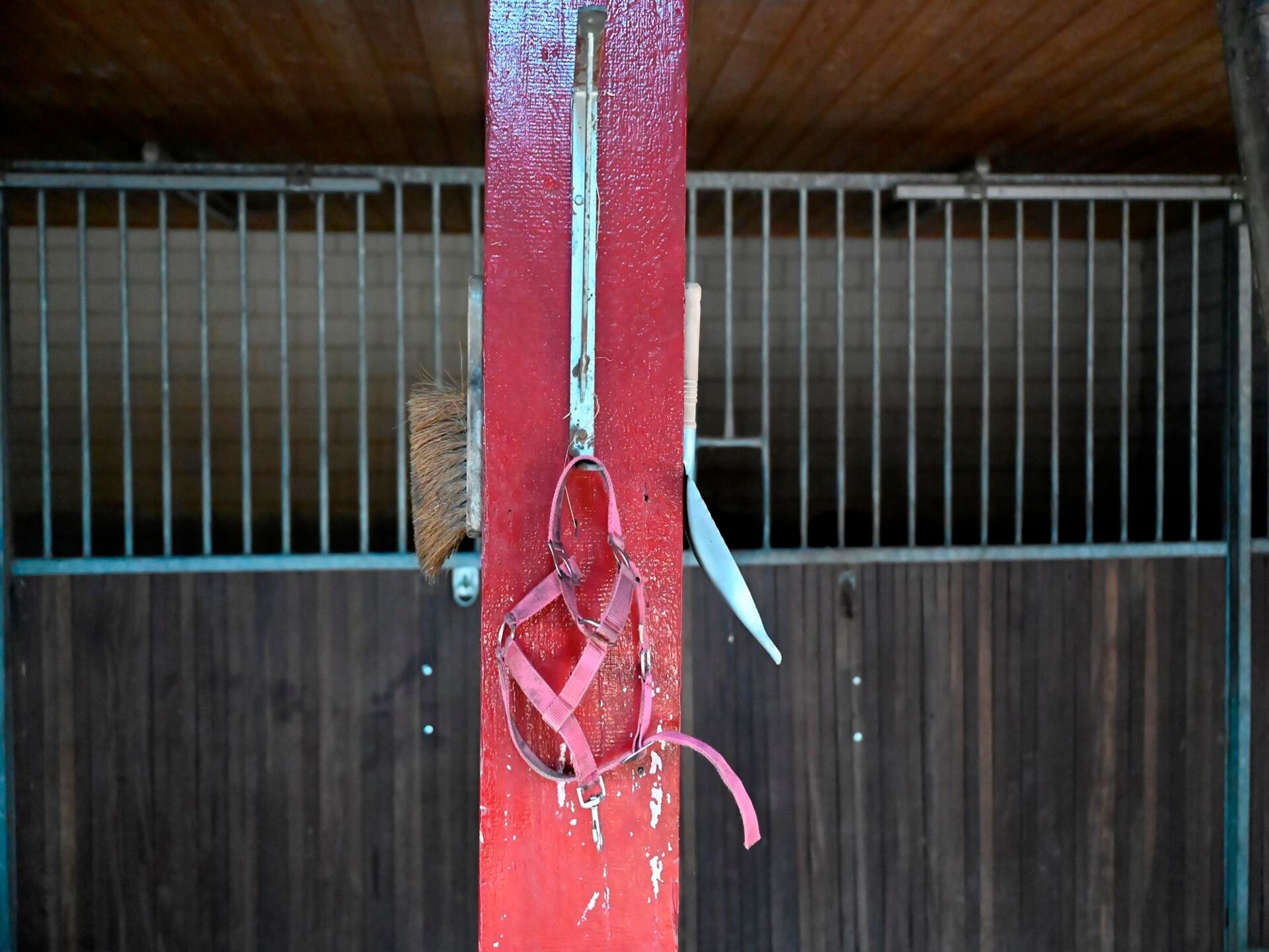 Authentieke boerderij de Binnenhof: luxe wellness en landelijke rust in Twente - foto 53