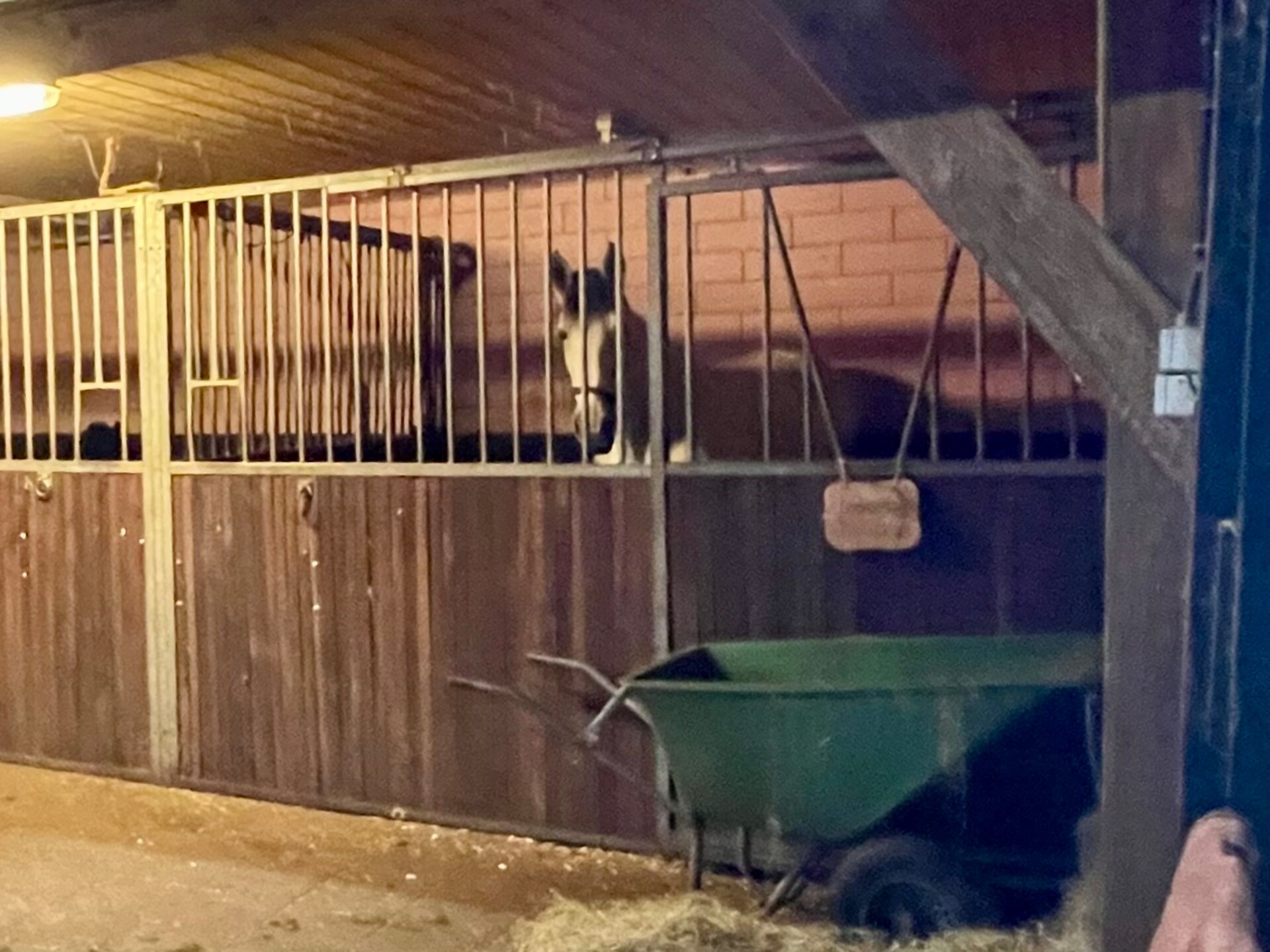 Authentieke boerderij de Binnenhof: luxe wellness en landelijke rust in Twente - foto 48
