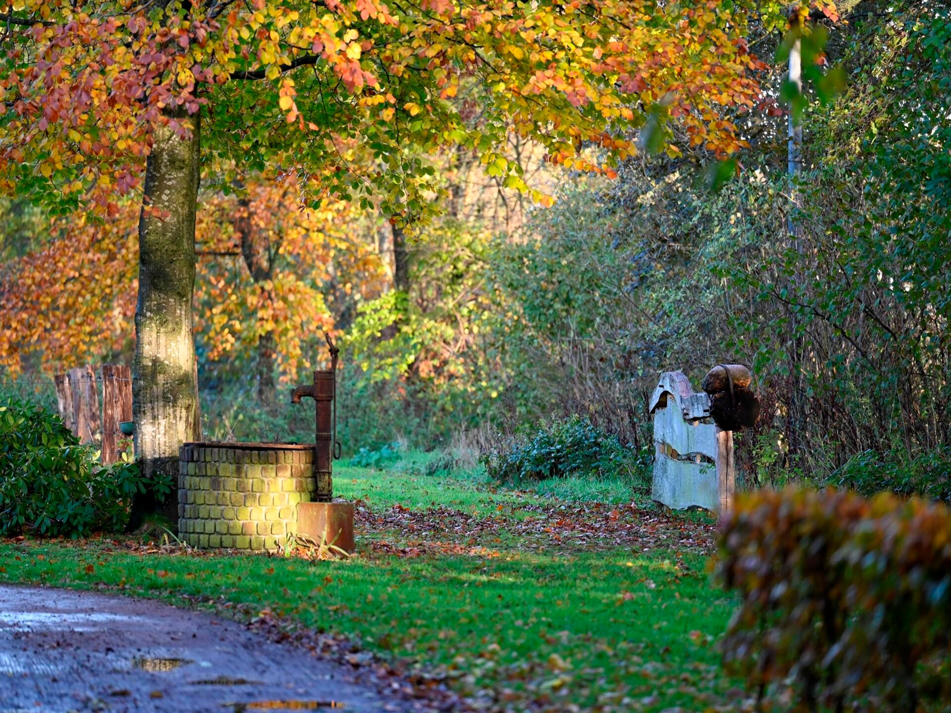 Authentieke boerderij de Binnenhof: luxe wellness en landelijke rust in Twente - foto 51
