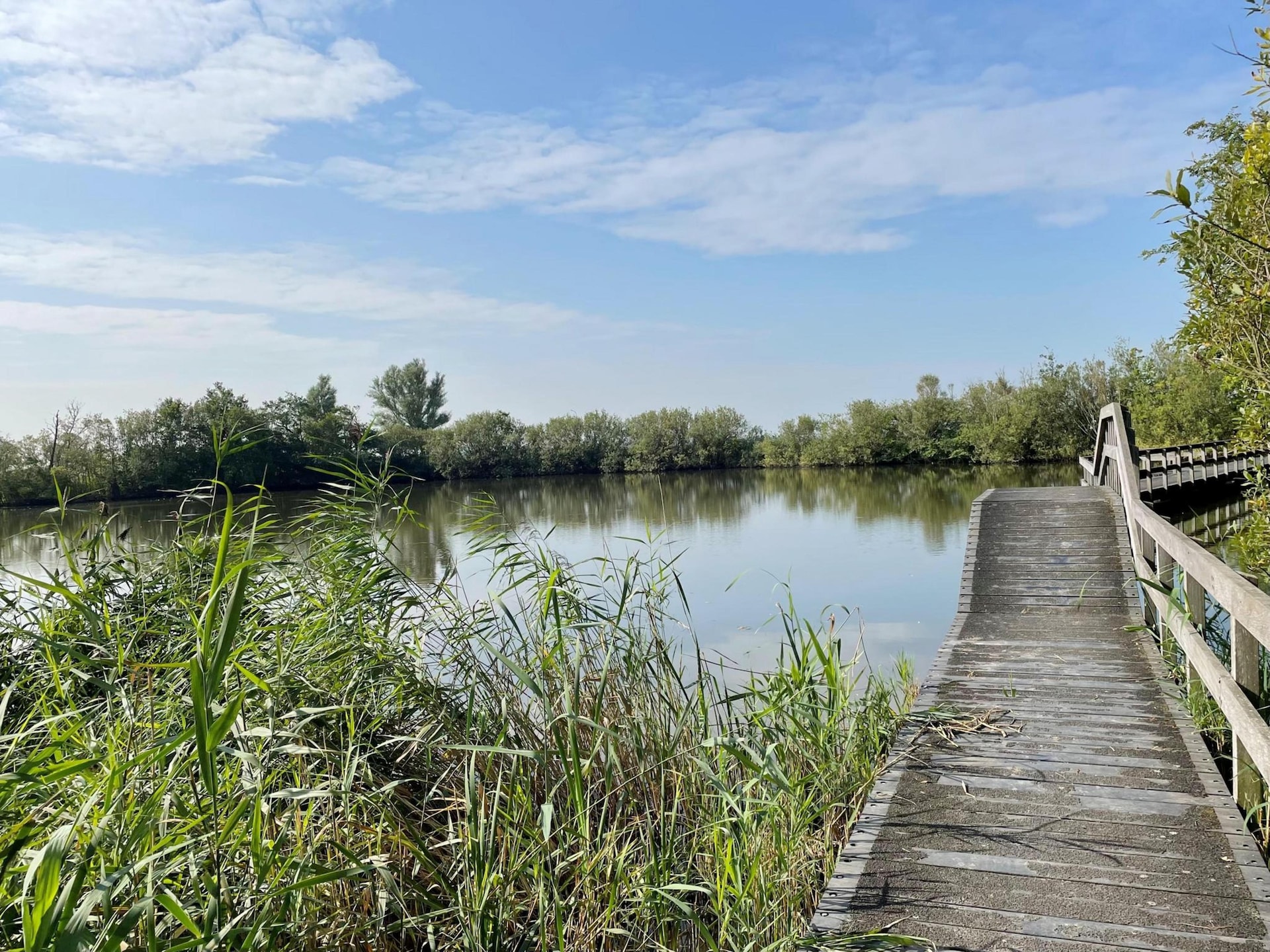 Dromen in de duinen - modern vakantiehuis voor 6 personen aan de Noord-Hollandse kust - foto 26