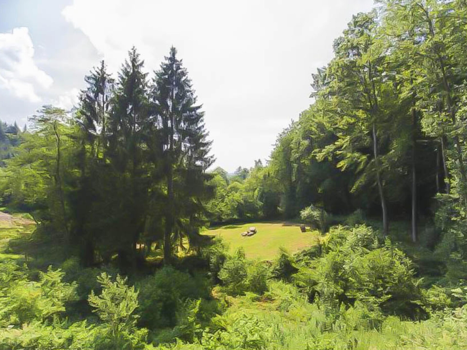 Landhuis la Forêt: 12-persoons vakantiehuis met zwembad en sauna in Stoumont - foto 36