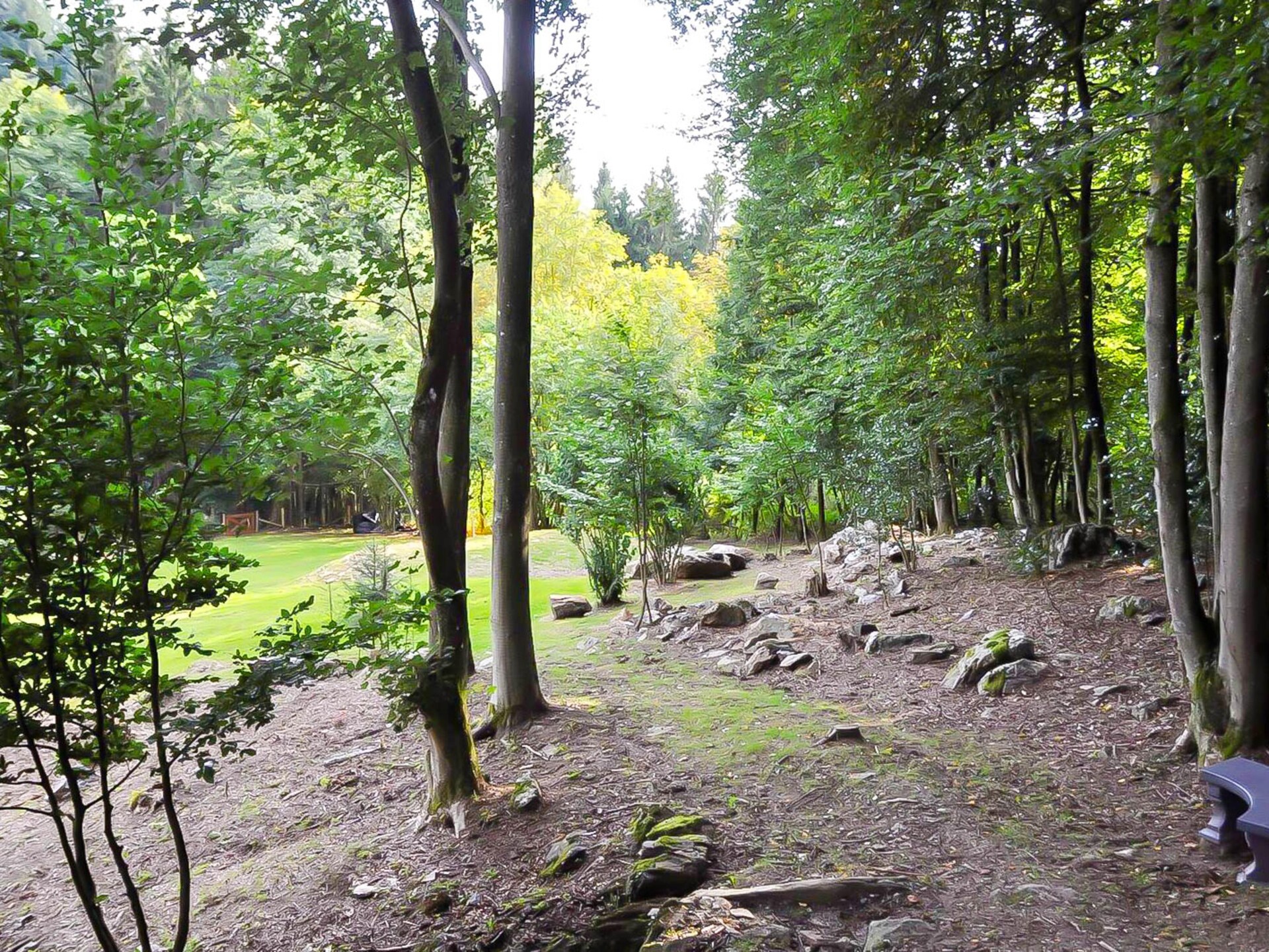 Landhuis la Forêt: 12-persoons vakantiehuis met zwembad en sauna in Stoumont - foto 38