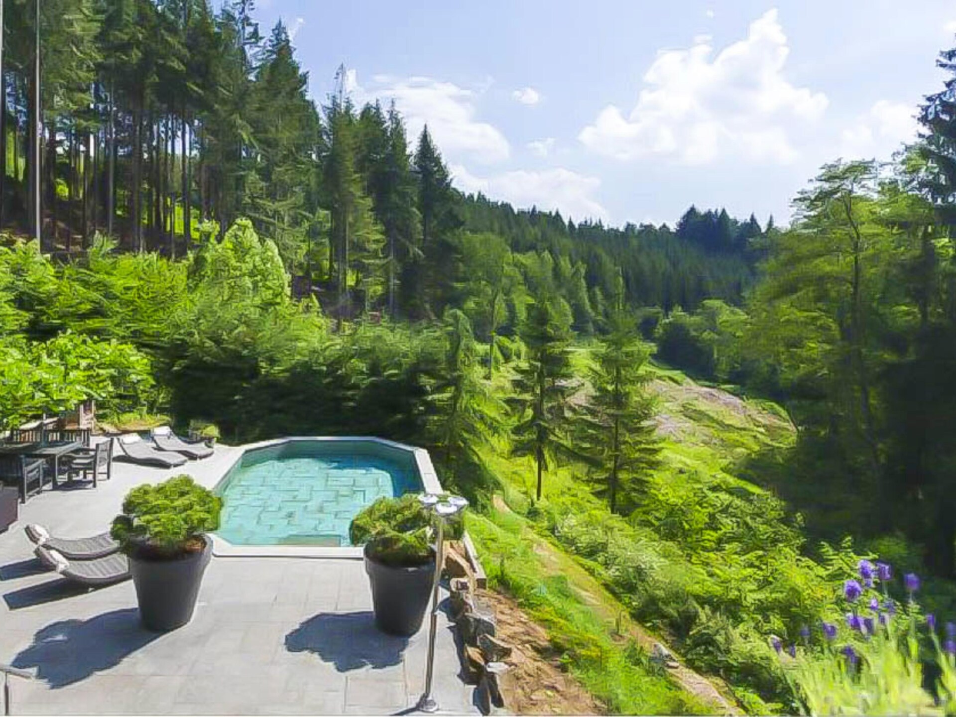 Landhuis la Forêt: 12-persoons vakantiehuis met zwembad en sauna in Stoumont - foto 10