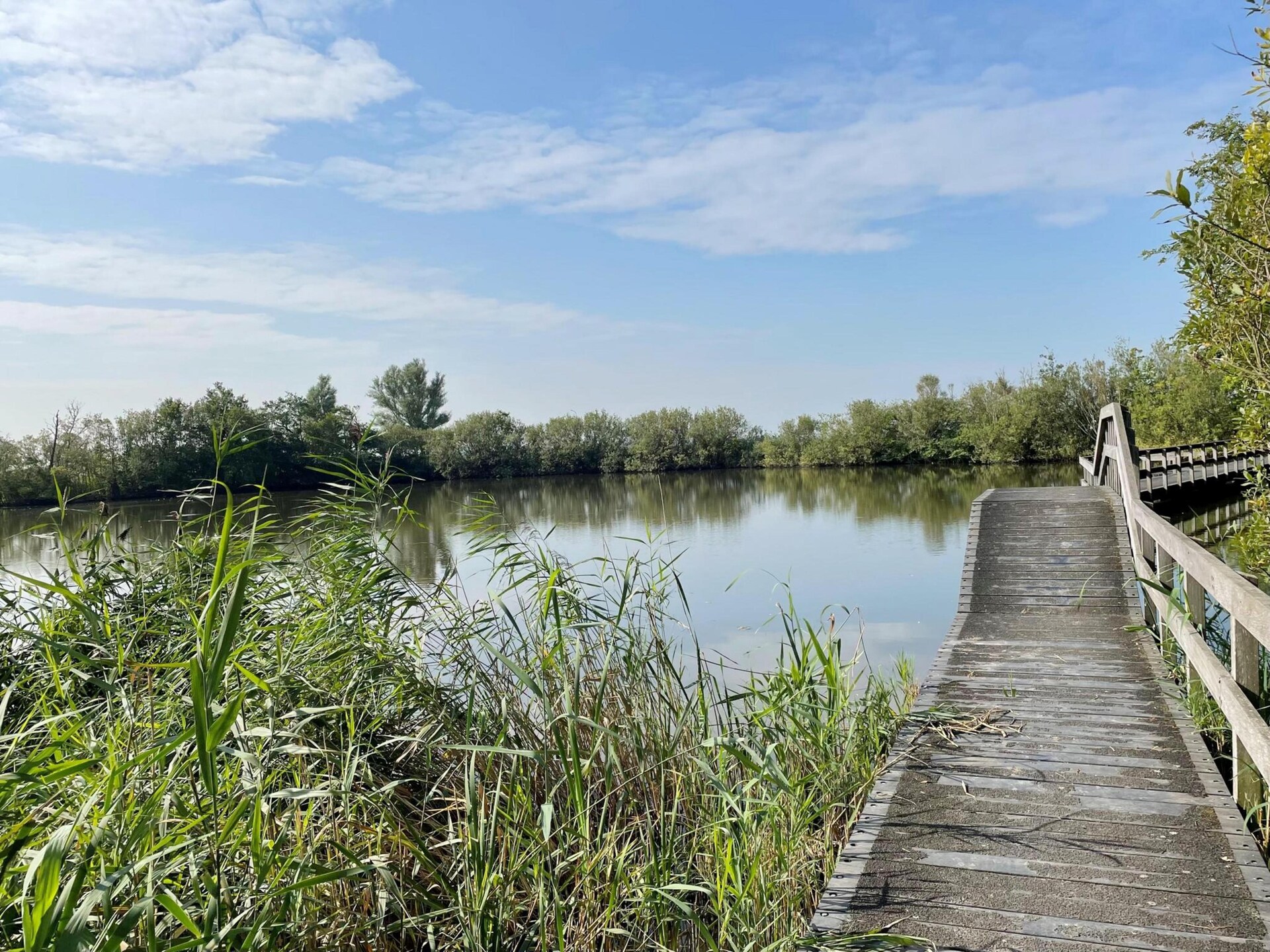 Modern vakantiehuis aan de Noord-Hollandse kust – huisdieren welkom - foto 26