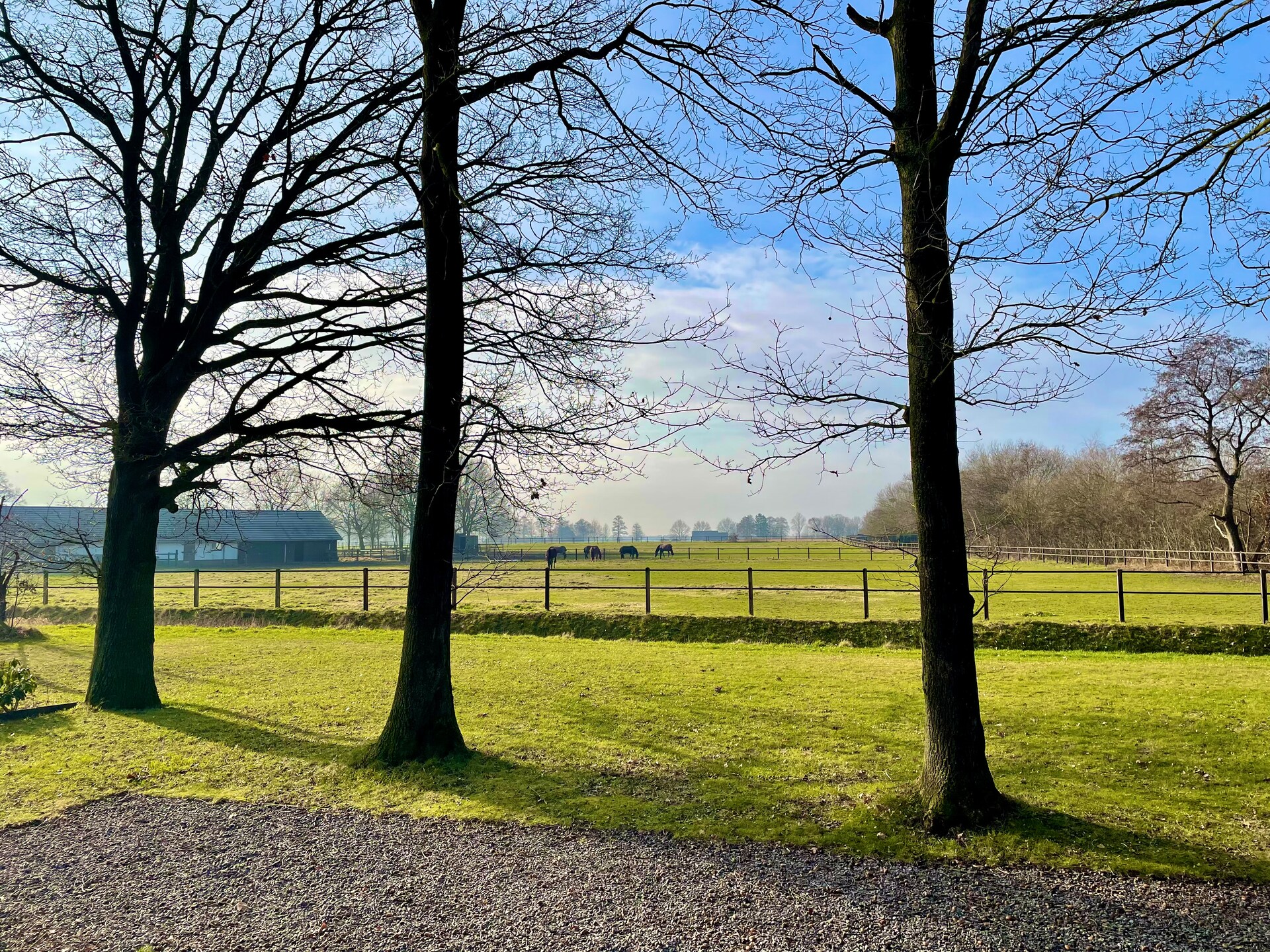 Salland Hideaway: Luxe duurzame villa met privé sauna en veranda - foto 37