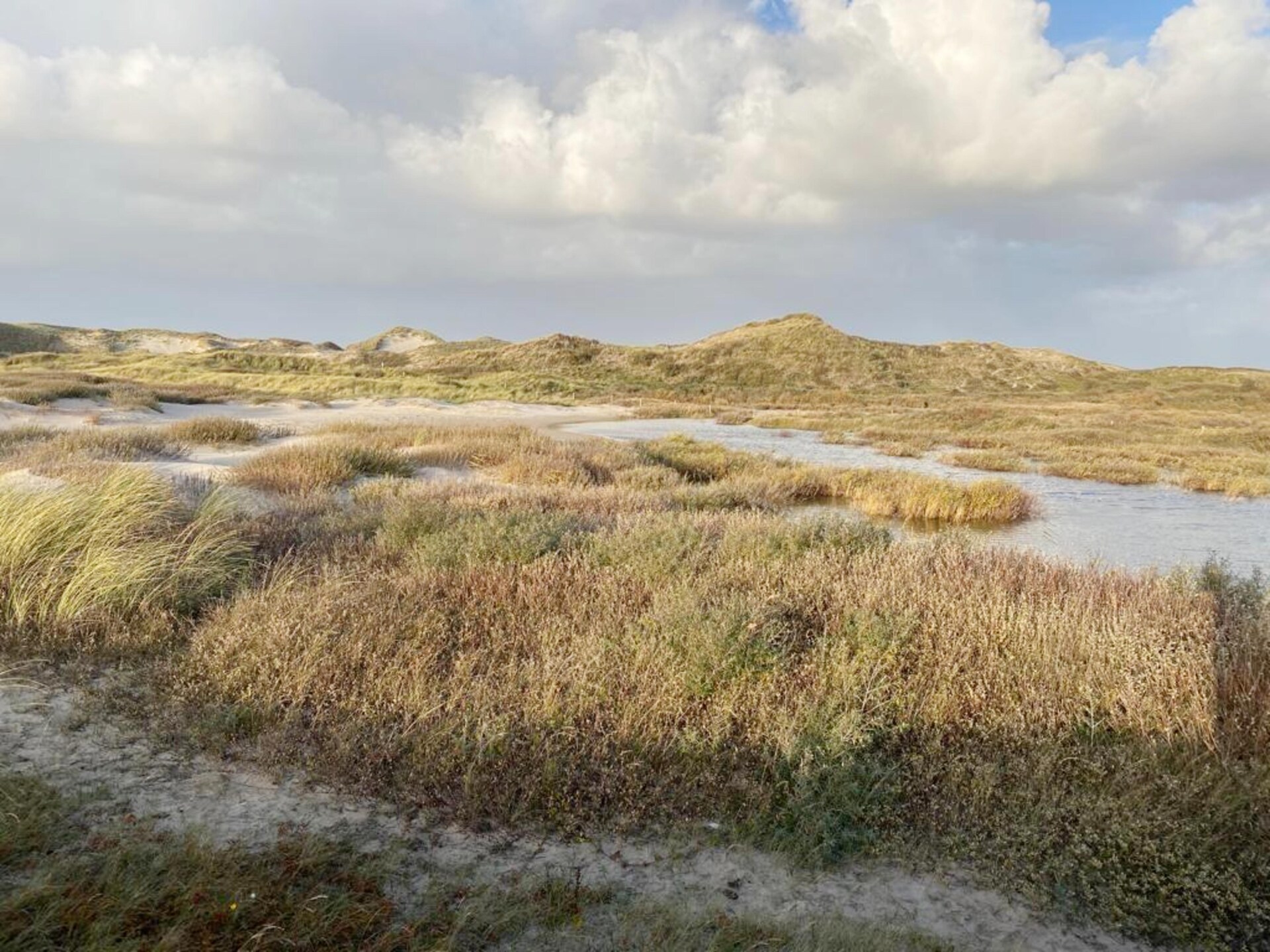 Slapen aan Zee Sint Maarten 78 – Modern vakantiehuis voor 6 personen aan de Noord-Hollandse kust - foto 26