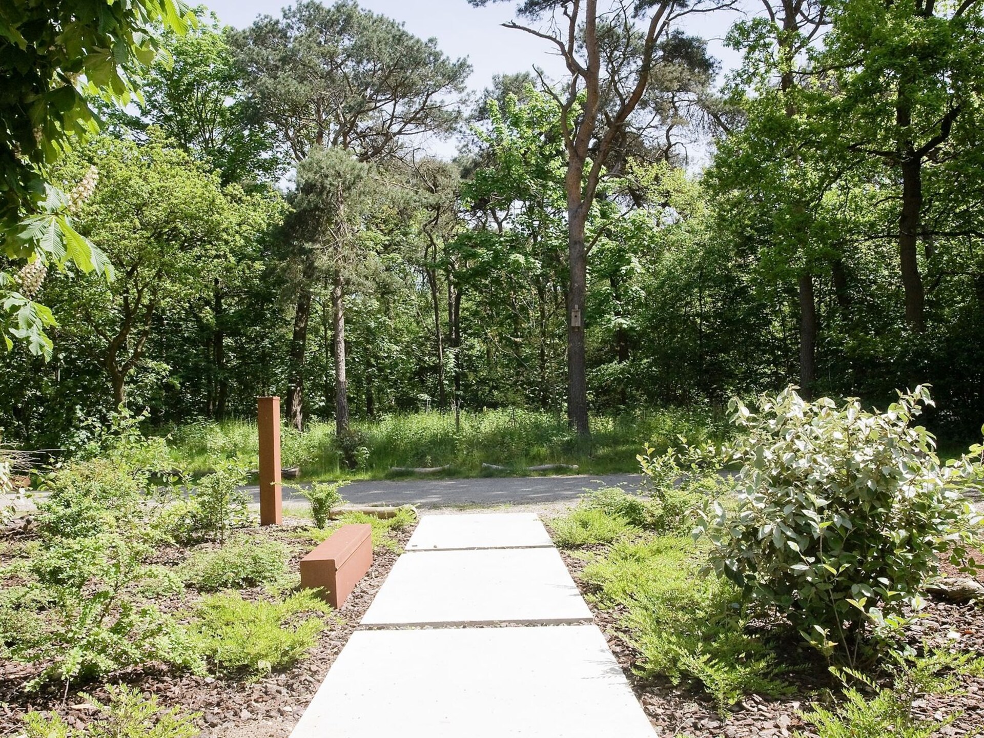 Stalen Boshuis: Designvilla met sauna en hottub op Landgoed Bergvliet - foto 36