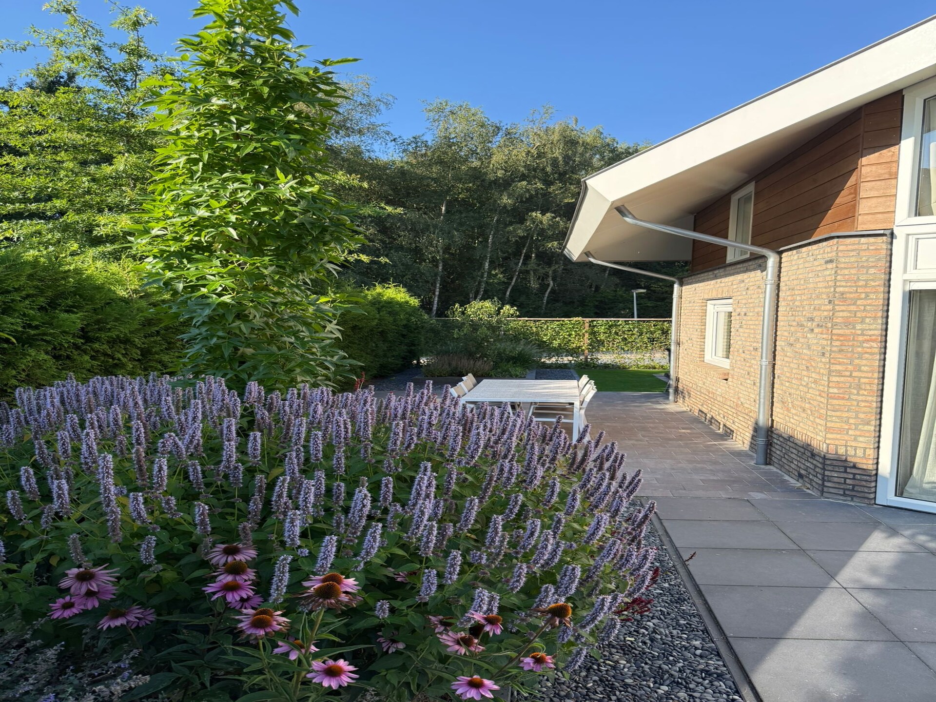 Wellnessvilla Torenvalk: privéstrand, sauna en jacuzzi aan recreatiemeer - foto 31