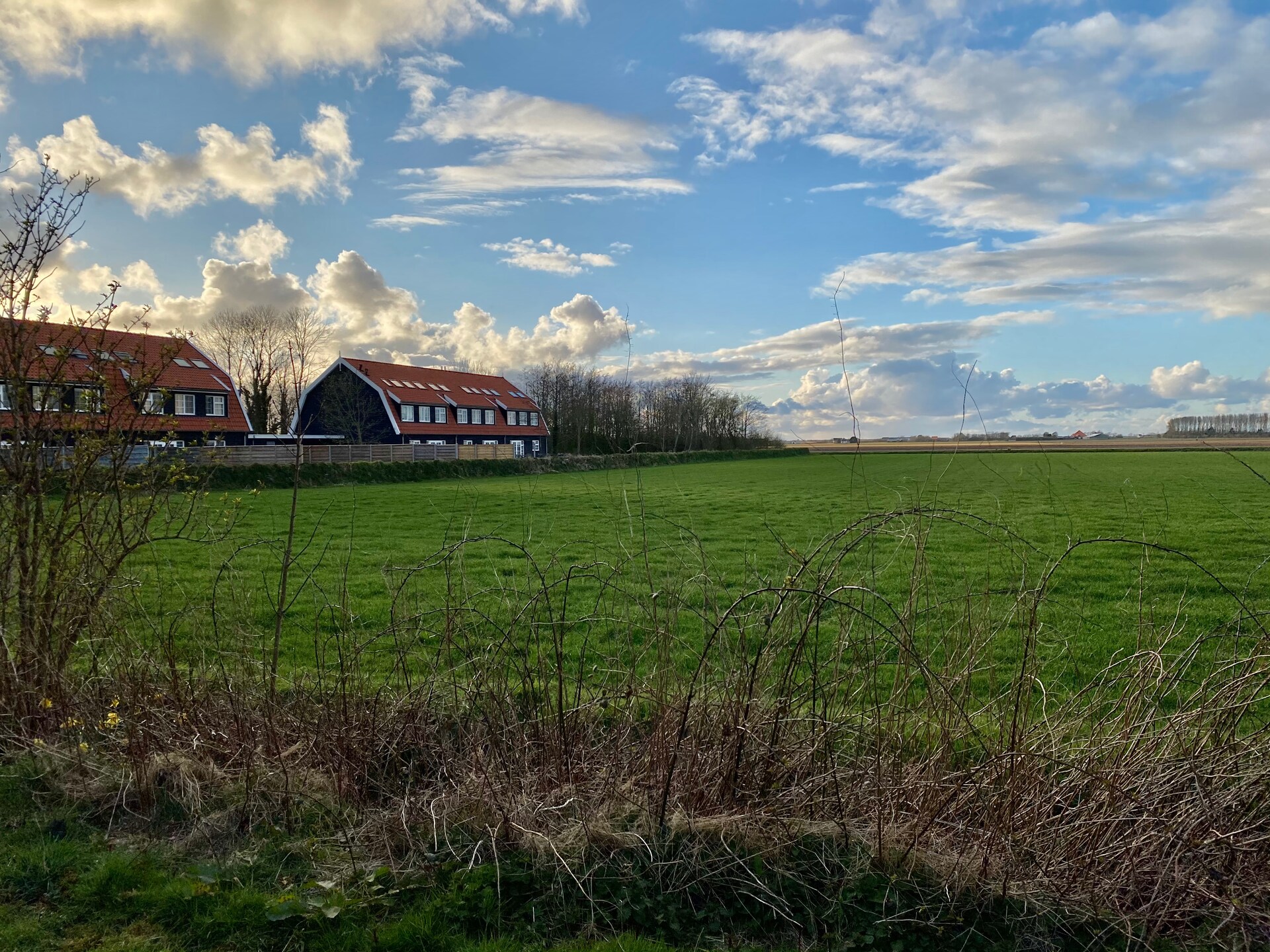 Waddenweelde Texel: Luxe groepsvilla met sauna en whirlpool op 500m² - foto 41