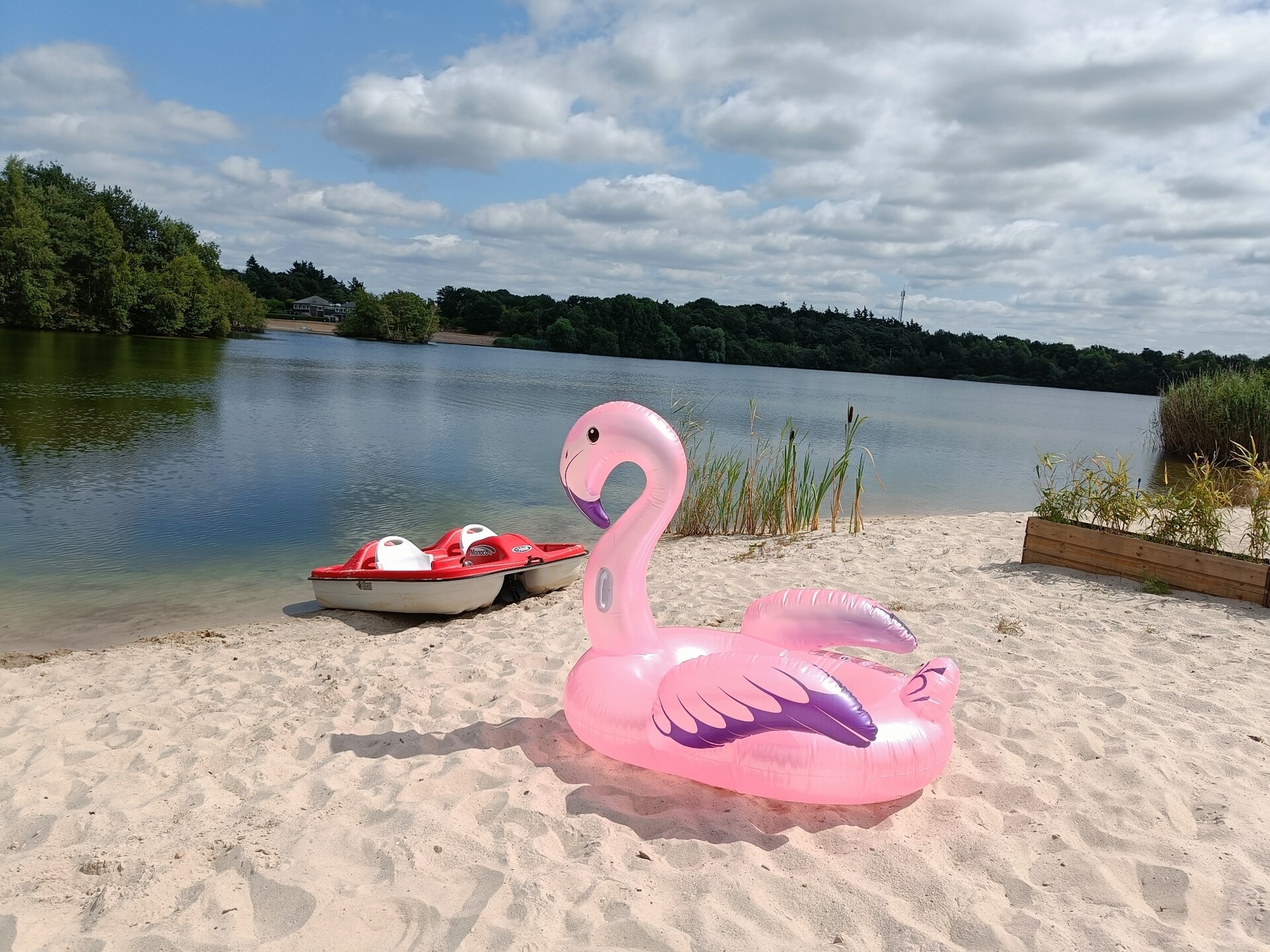 Watervilla Plas van Francke: luxe wellness aan het water in Sibculo - foto 23
