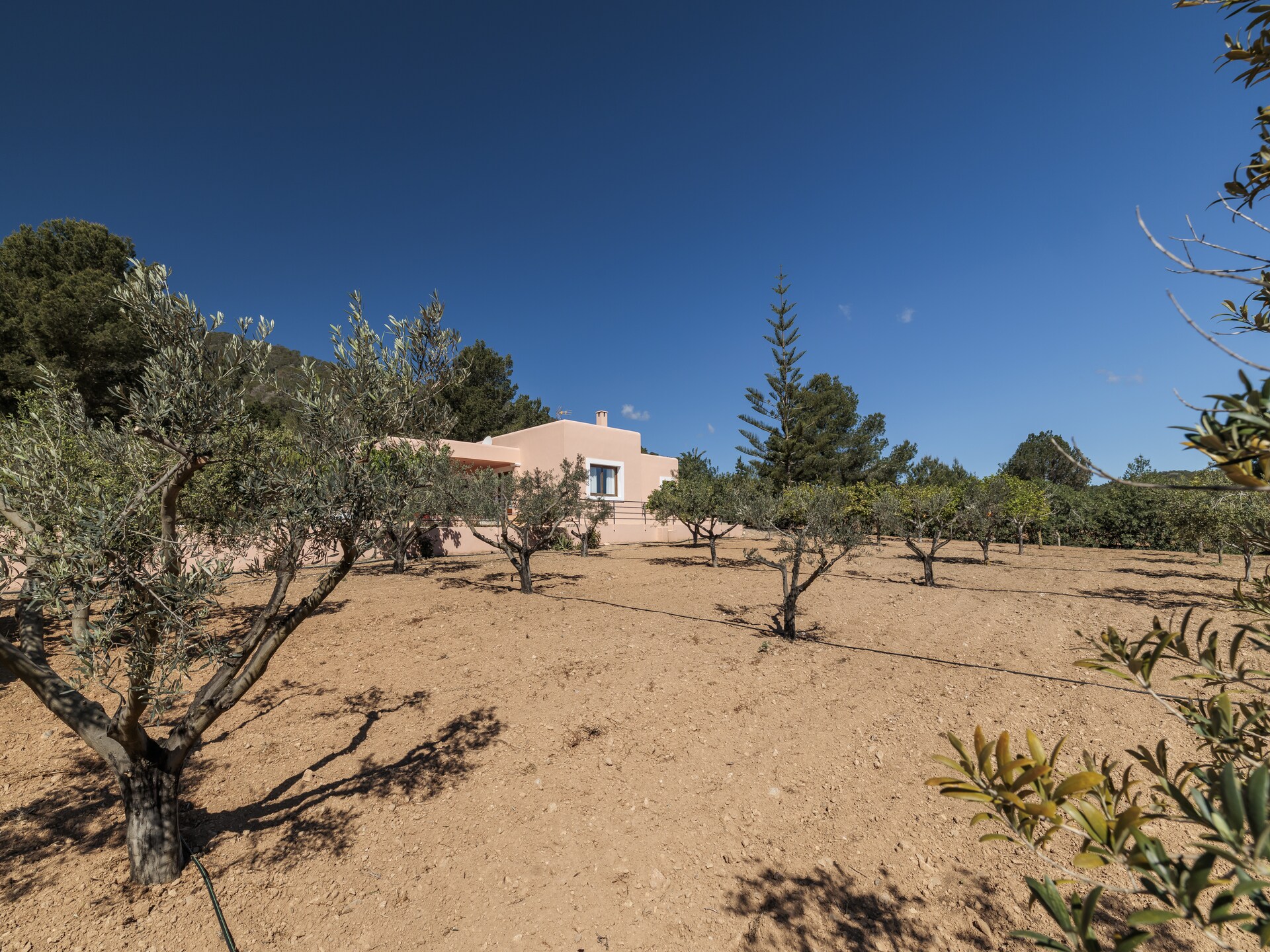 Authentieke villa met zeezicht en zwembad bij Cala Boix - foto 39