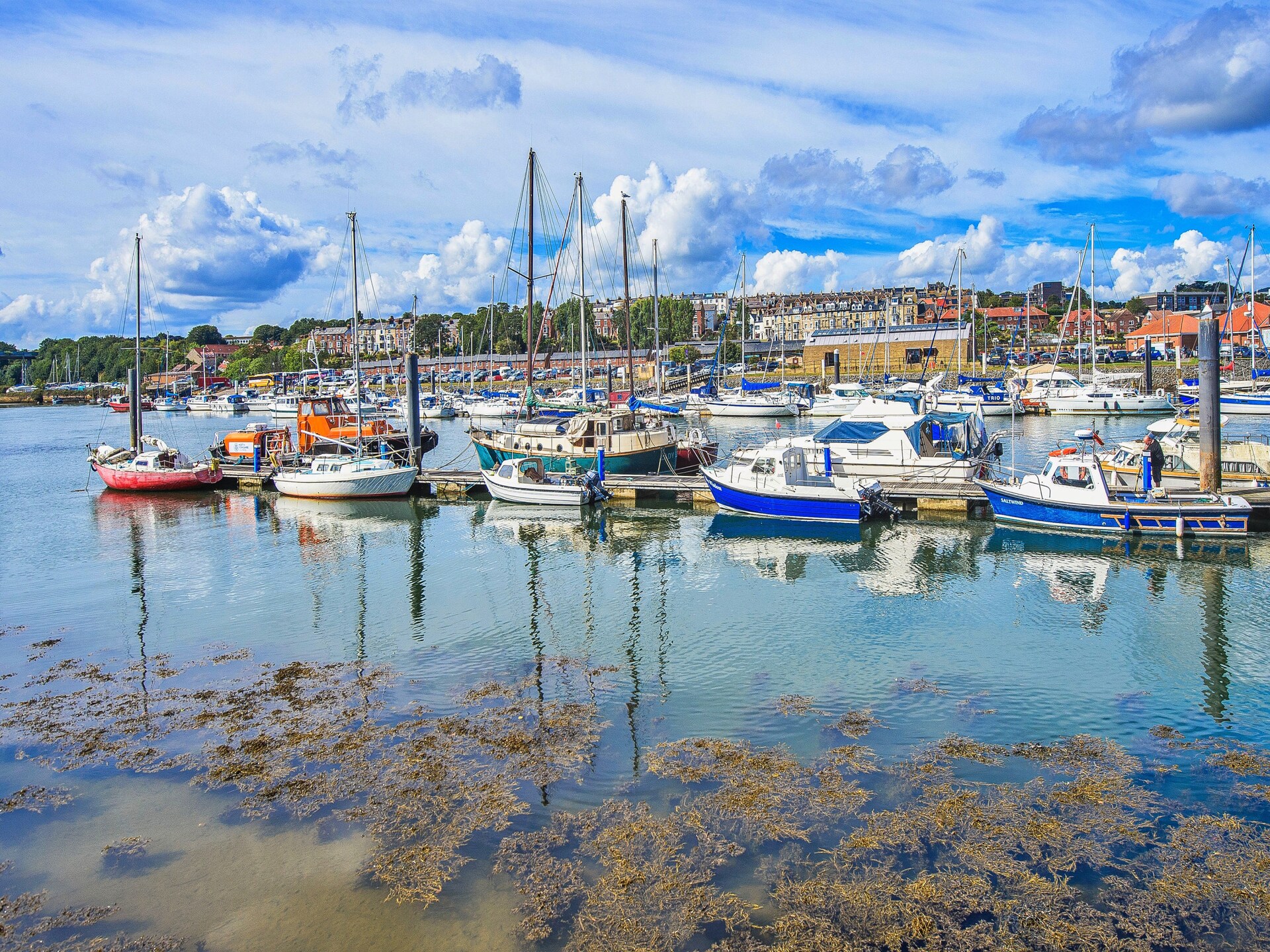 Tenby Cottage - foto 19