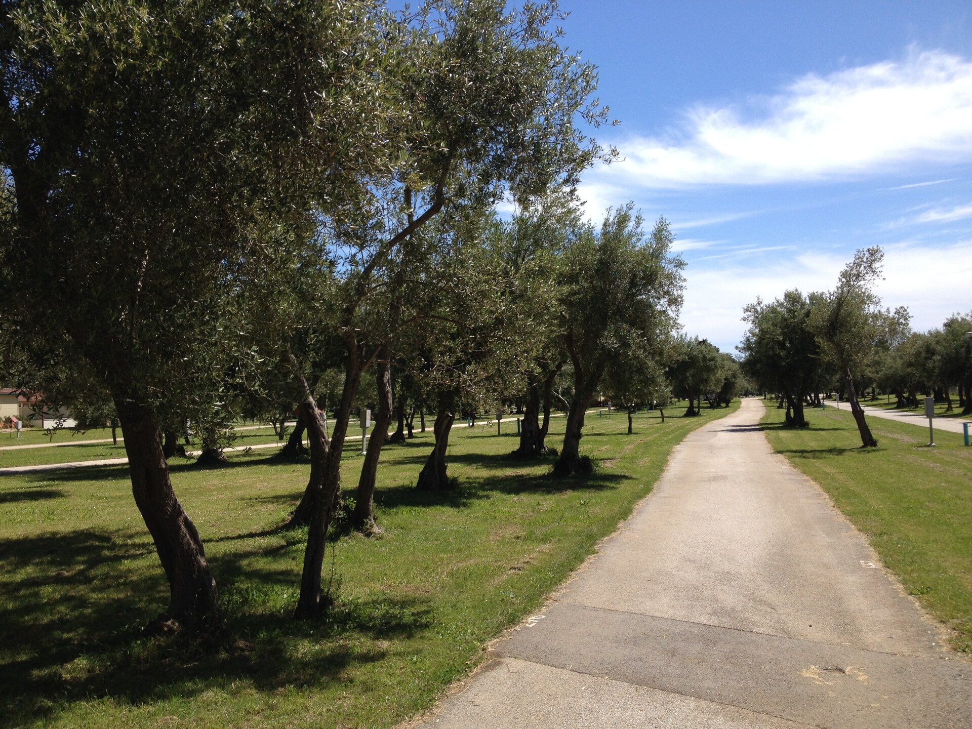 Stacaravan vlakbij zee op Camping Oliva in Rabac, Kroatië - foto 16